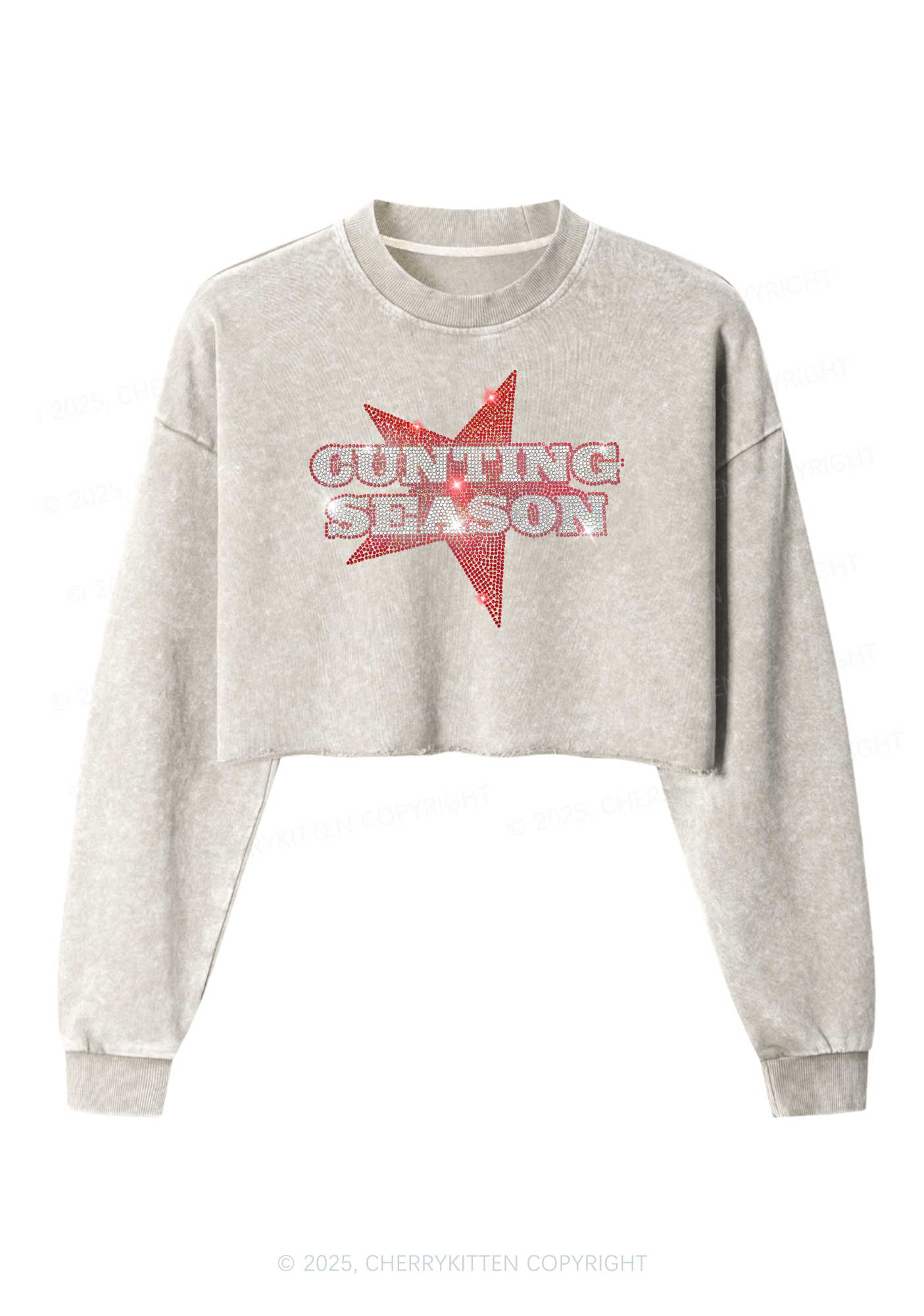 Rhinestone Cunting Season Y2K Crop Washed Sweatshirts Cherrykitten - Image 3
