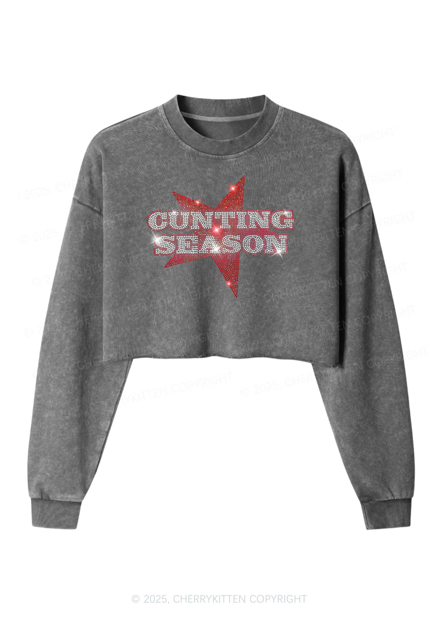 Rhinestone Cunting Season Y2K Crop Washed Sweatshirts Cherrykitten - Image 4