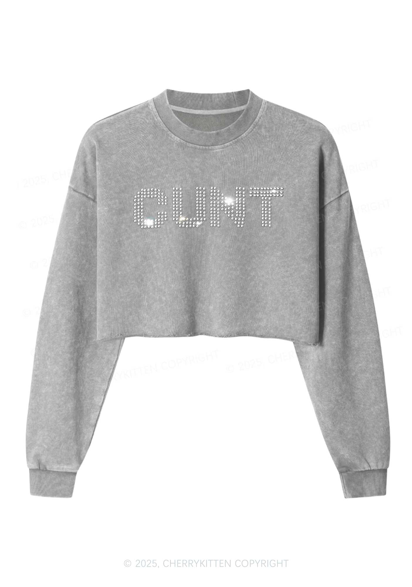 Rhinestone Cxxt Y2K Crop Washed Sweatshirts Cherrykitten - Image 4