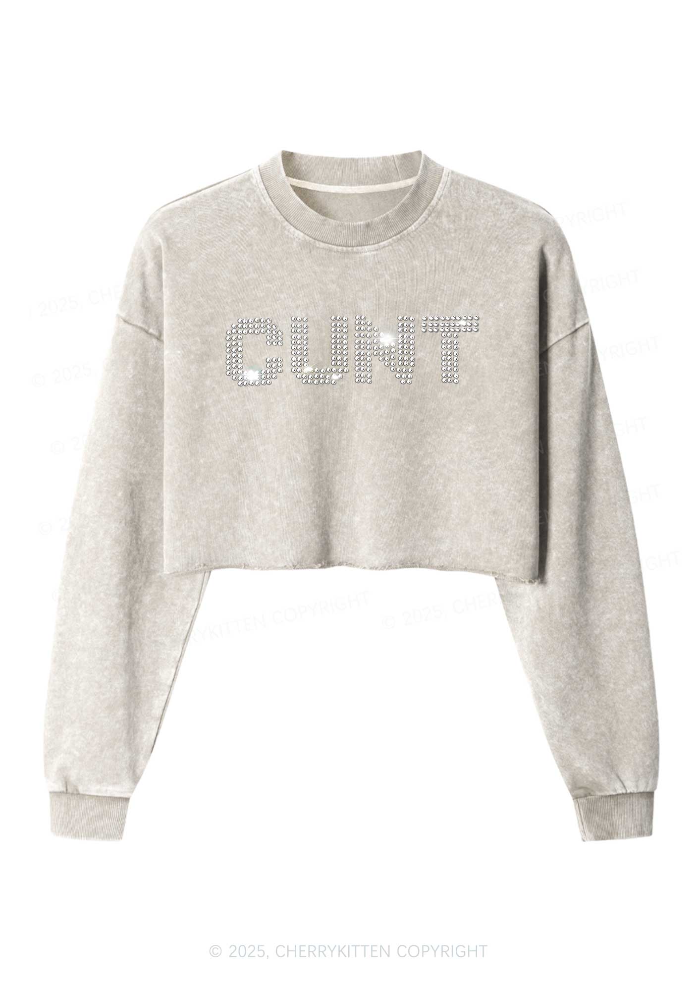 Rhinestone Cxxt Y2K Crop Washed Sweatshirts Cherrykitten - Image 5