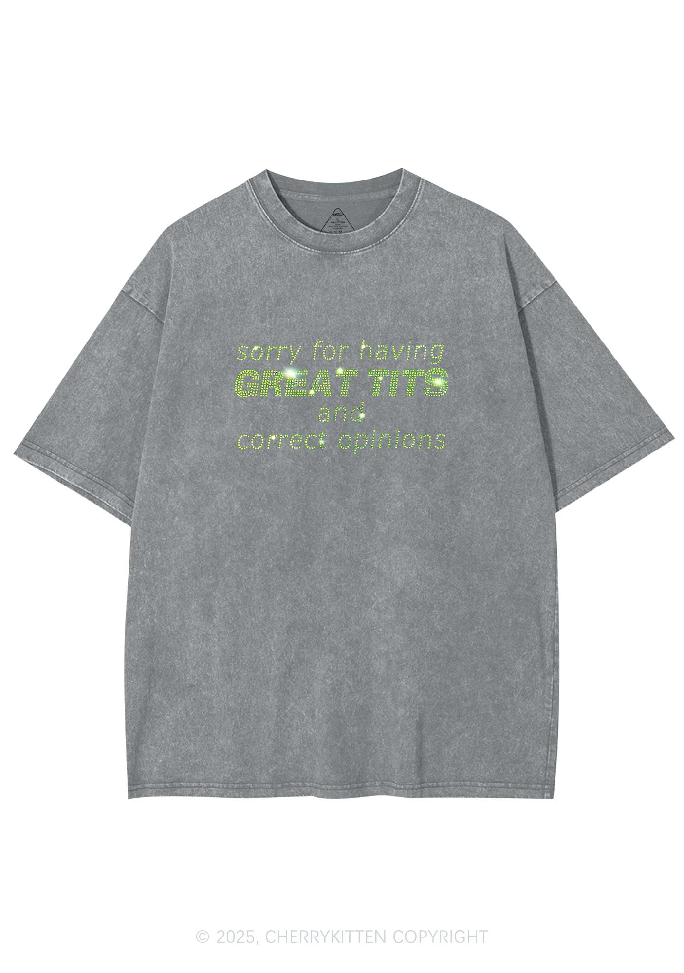 Rhinestone Sorry For Having Correct Opinions Y2K Shirts Washed Tee Cherrykitten - Image 5