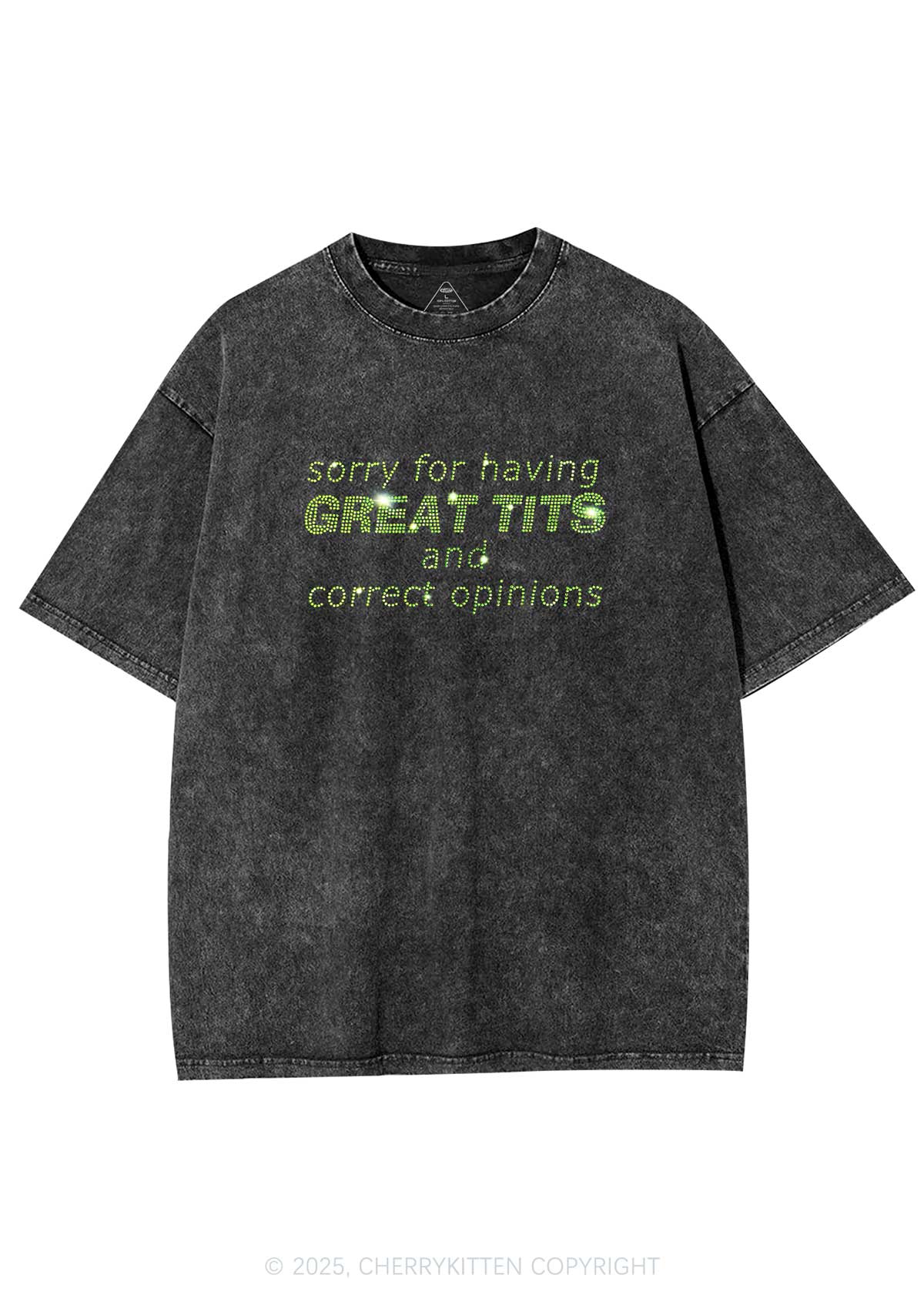 Rhinestone Sorry For Having Correct Opinions Y2K Shirts Washed Tee Cherrykitten - Image 7