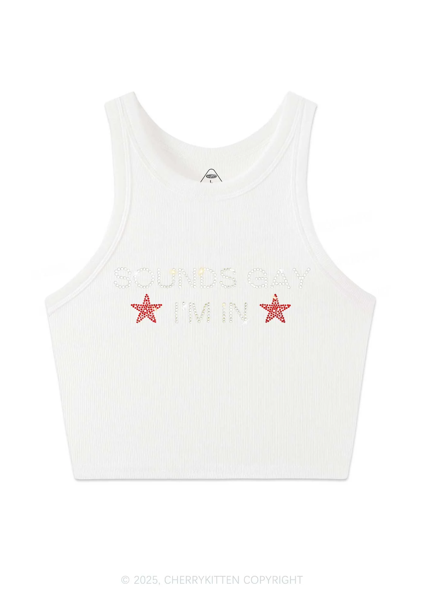 Rhinestone Sounds Gay Pride Y2K Crop Tank Top Cherrykitten - Image 5