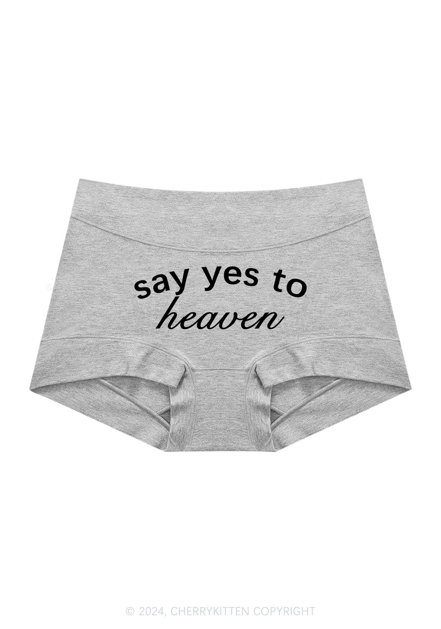 Say Yes To Heaven Y2K Mid Rise Waist Boyshort Cherrykitten - Image 5