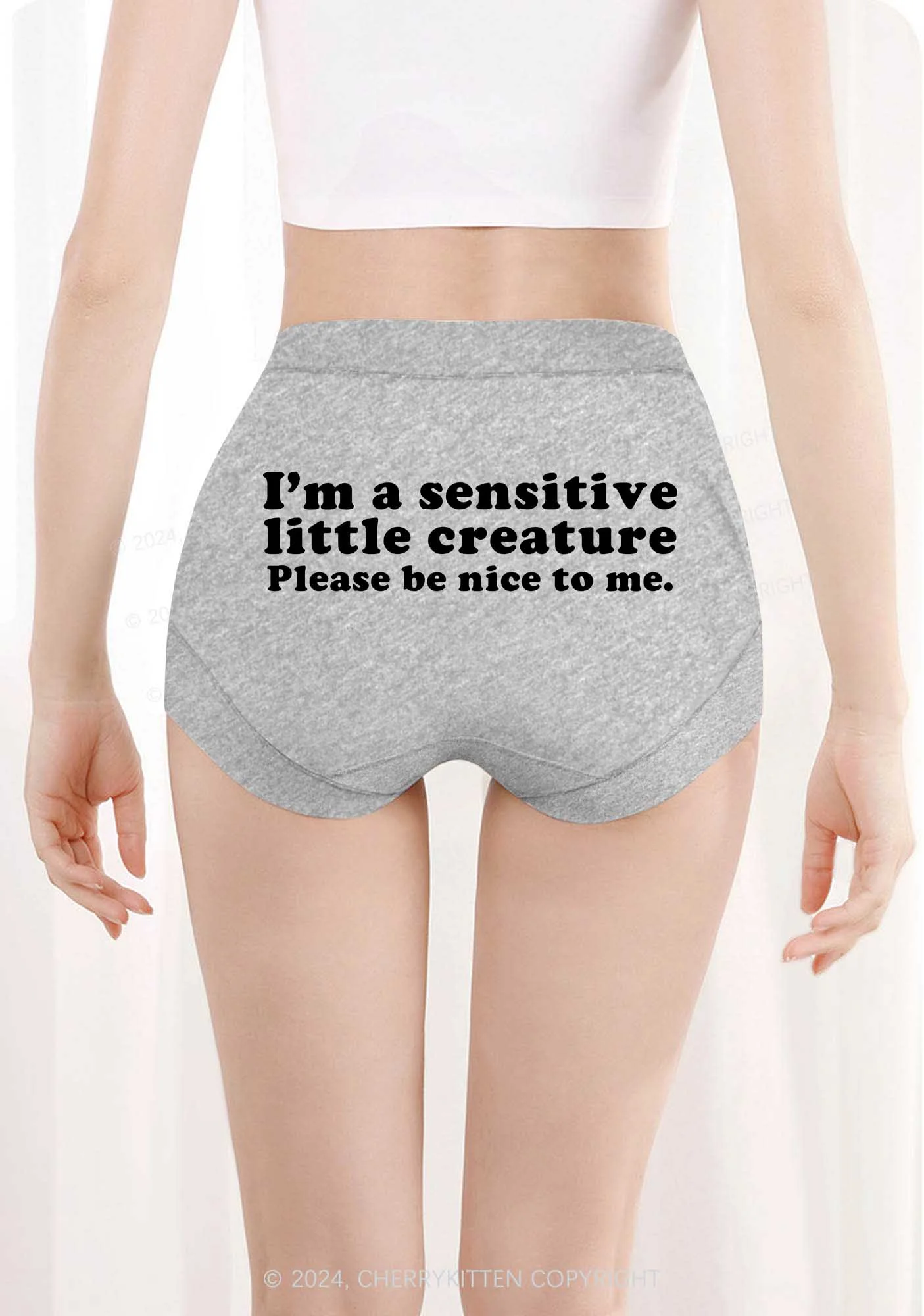 Sensitive Little Creature Y2K Mid Rise Waist Boyshort Cherrykitten - Image 3