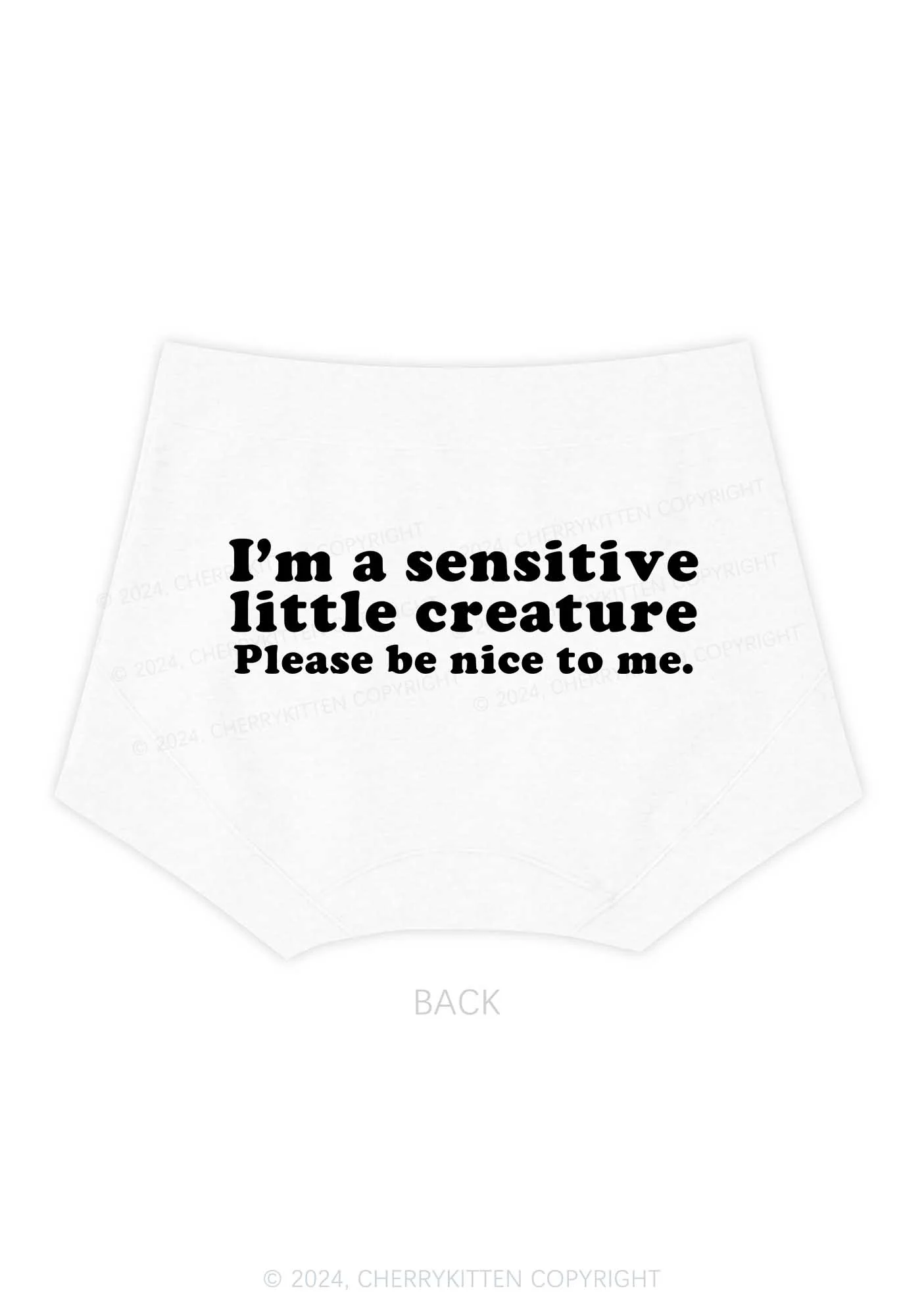 Sensitive Little Creature Y2K Mid Rise Waist Boyshort Cherrykitten - Image 5