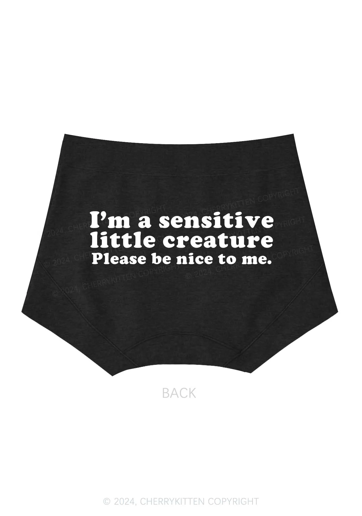 Sensitive Little Creature Y2K Mid Rise Waist Boyshort Cherrykitten - Image 6