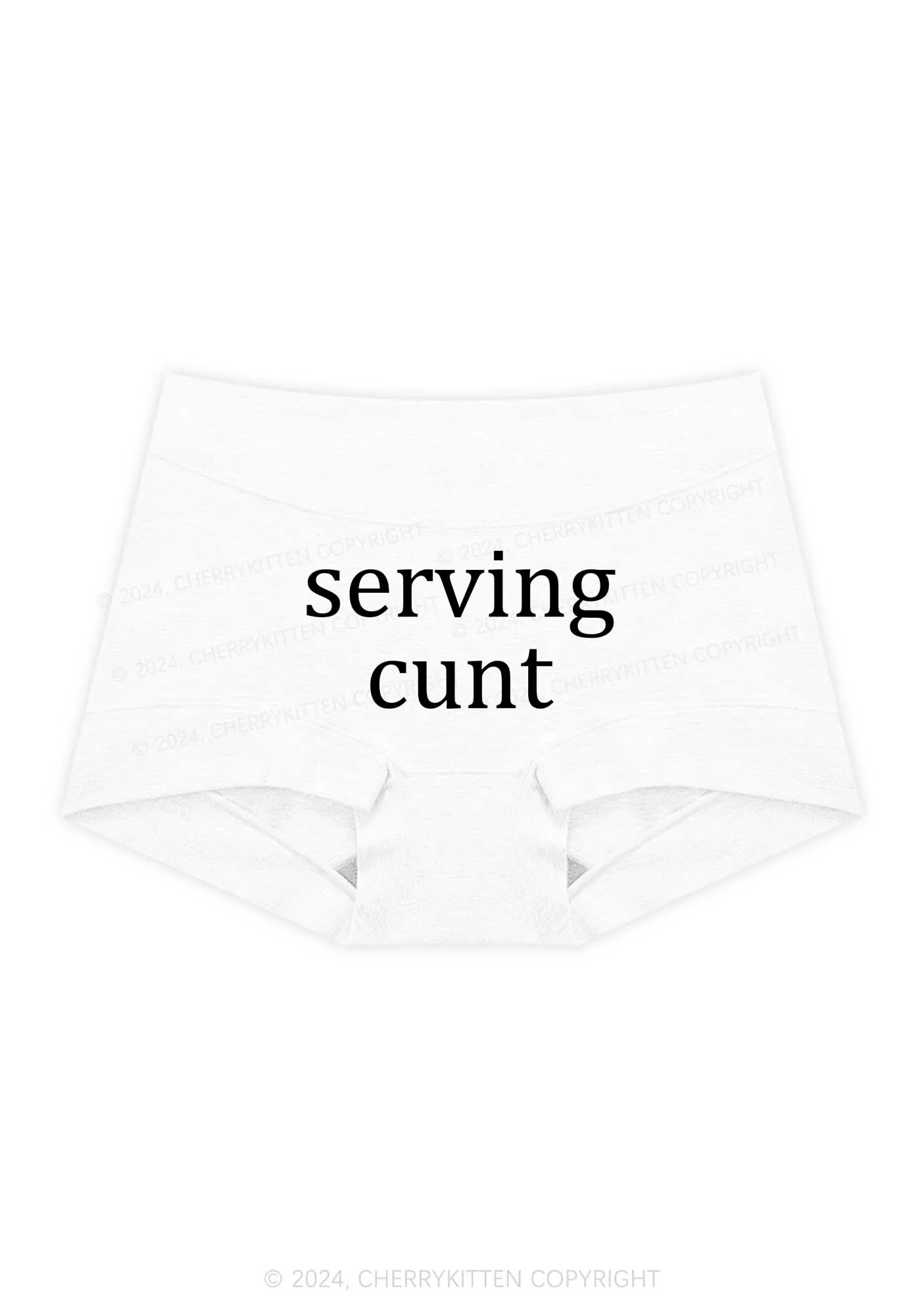 Serving Count Y2K Mid Rise Waist Boyshort Cherrykitten - Image 5