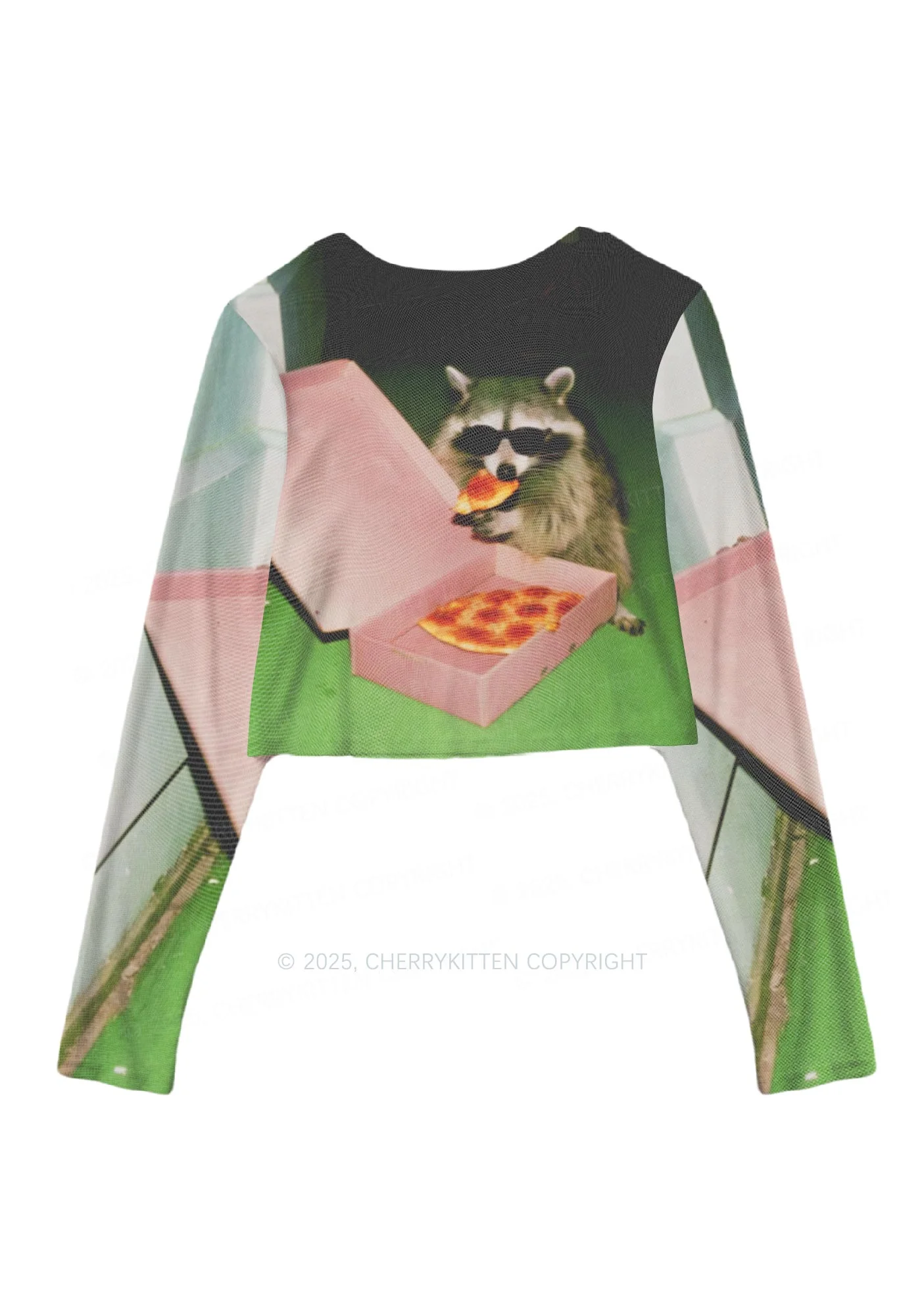 Shades Raccoon Pizza Y2K Mesh Long Sleeve Crop Top Cherrykitten - Image 3
