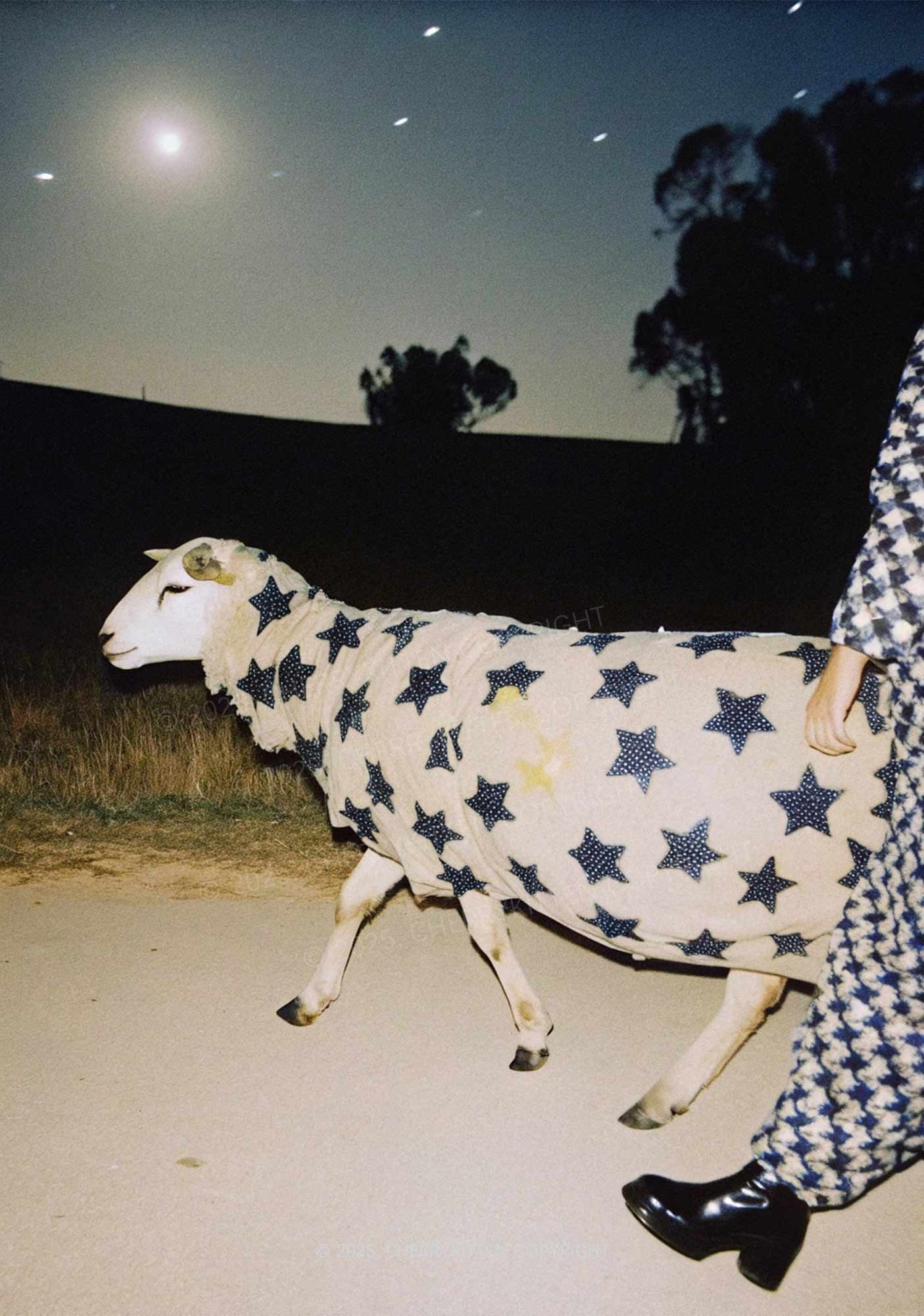 Sheep In Star Cloak Y2K Print Midi Skirt Cherrykitten - Image 2