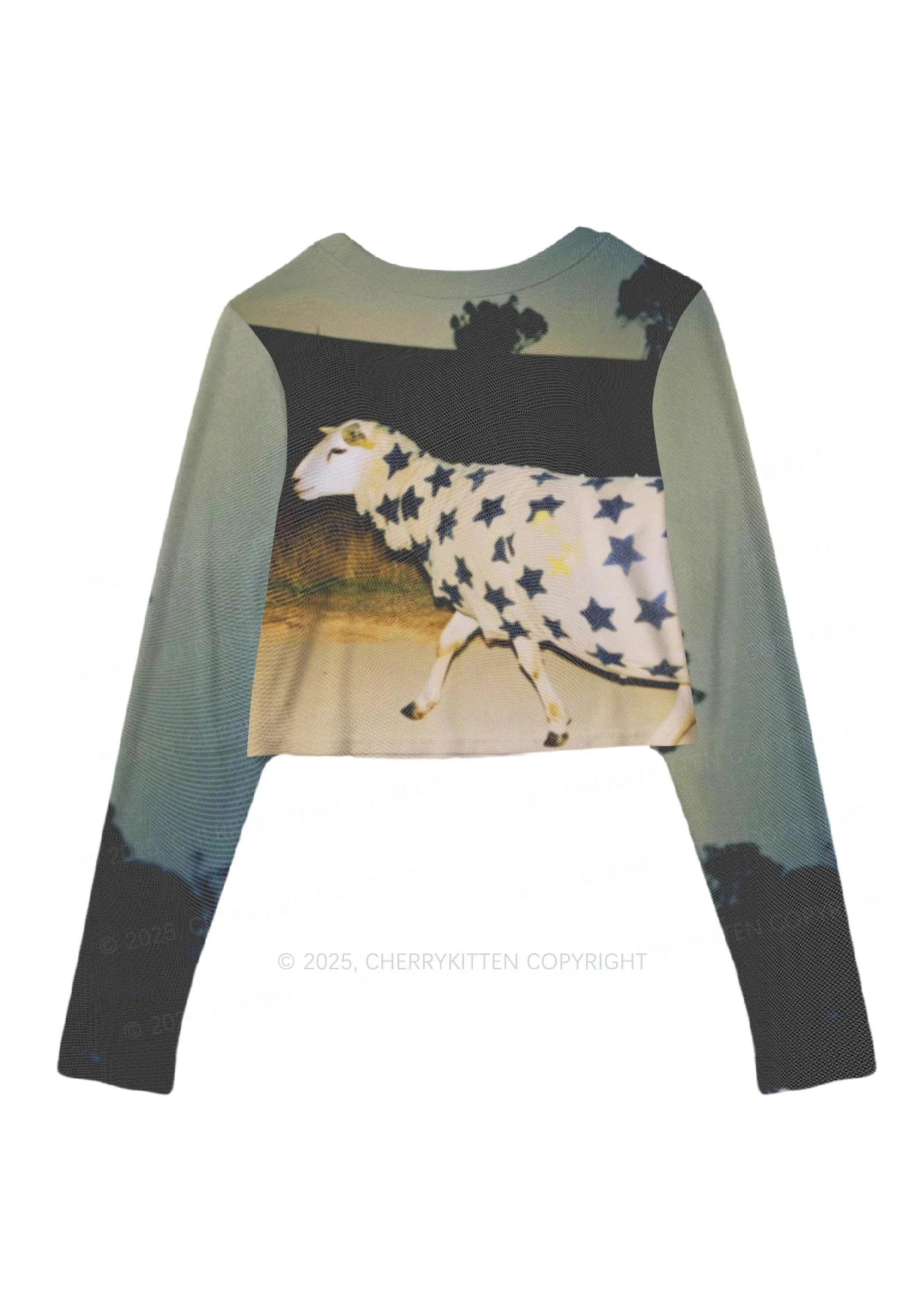 Sheep In Star Cloak Y2K Mesh Long Sleeve Crop Top Cherrykitten - Image 3
