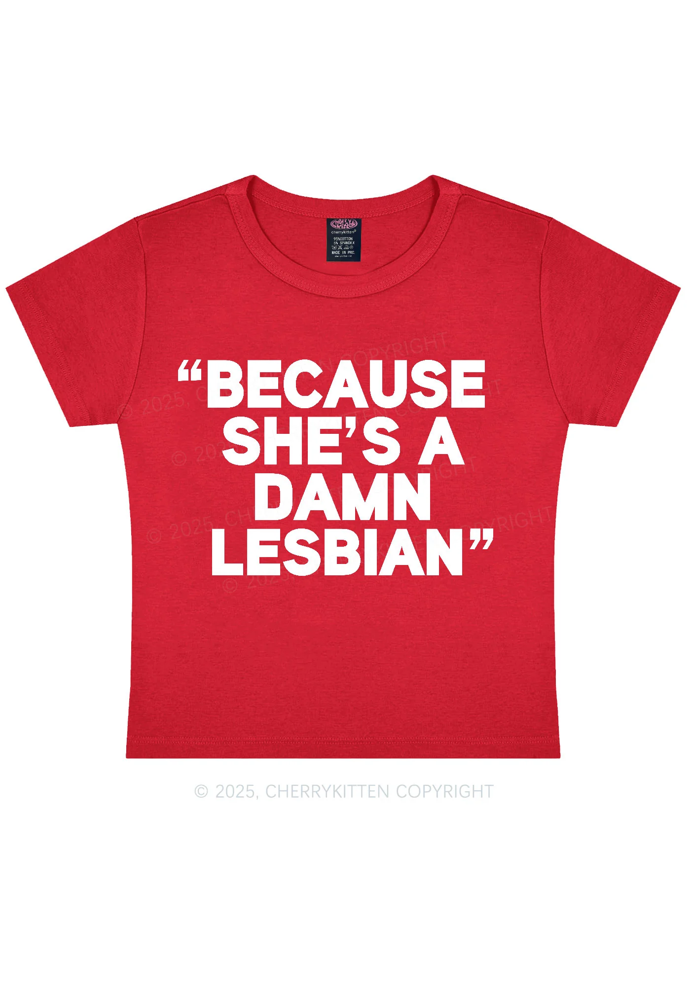 She's A Damn Lesbian Y2K Baby Tee Cherrykitten - Image 4