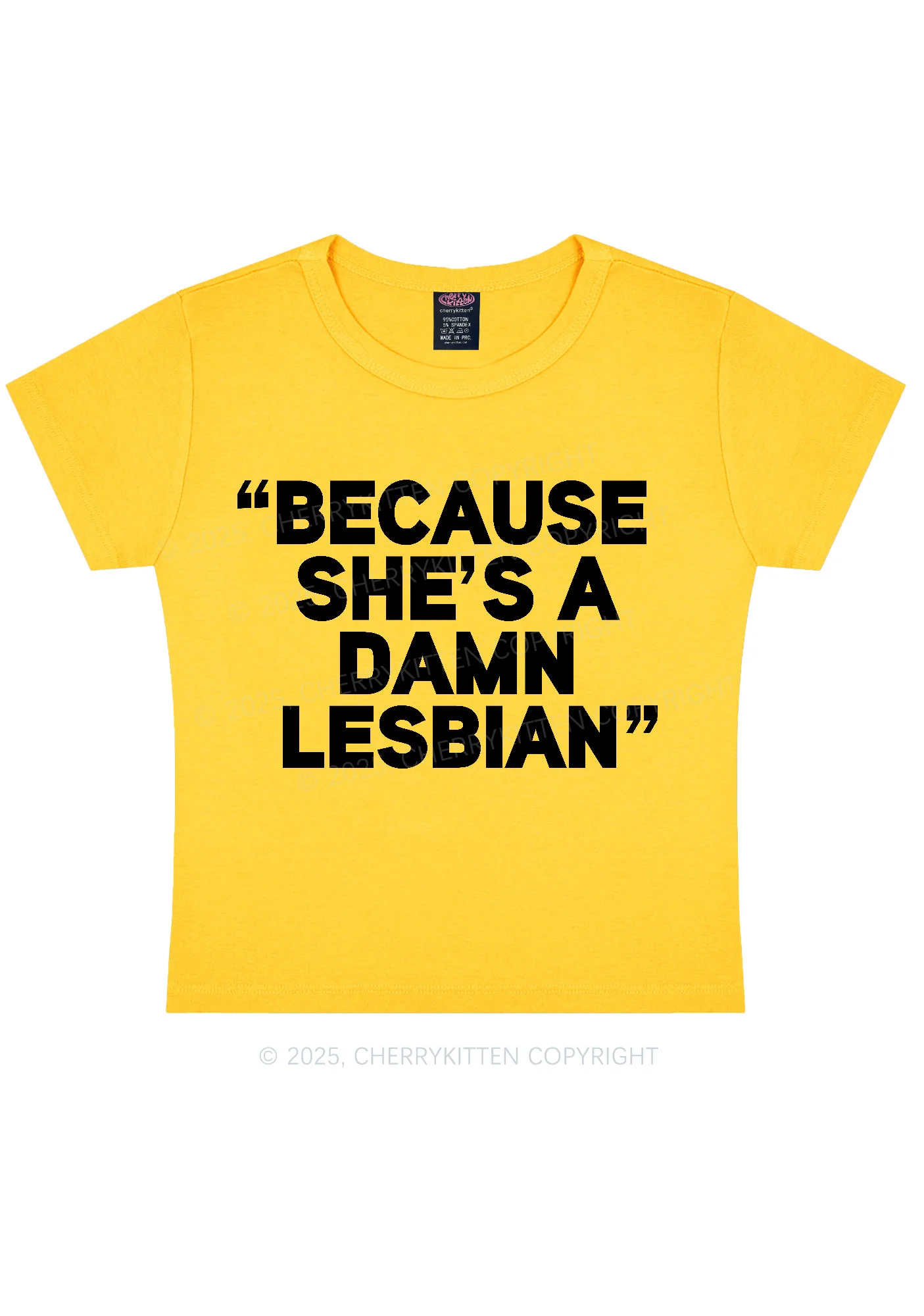 She's A Damn Lesbian Y2K Baby Tee Cherrykitten - Image 5