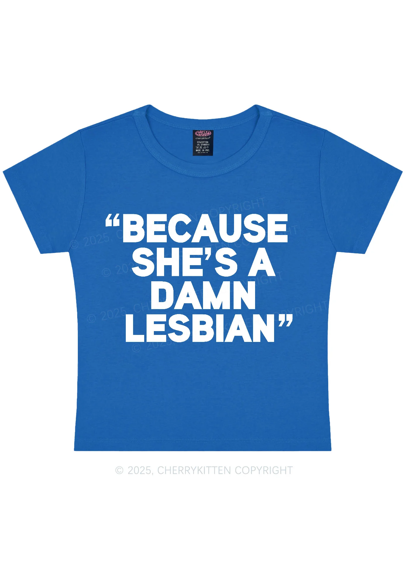She's A Damn Lesbian Y2K Baby Tee Cherrykitten - Image 8