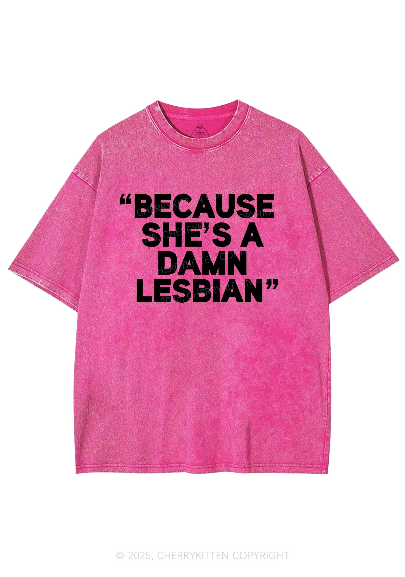 She's A Damn Lesbian Y2K Shirts Washed Tee Cherrykitten - Image 3