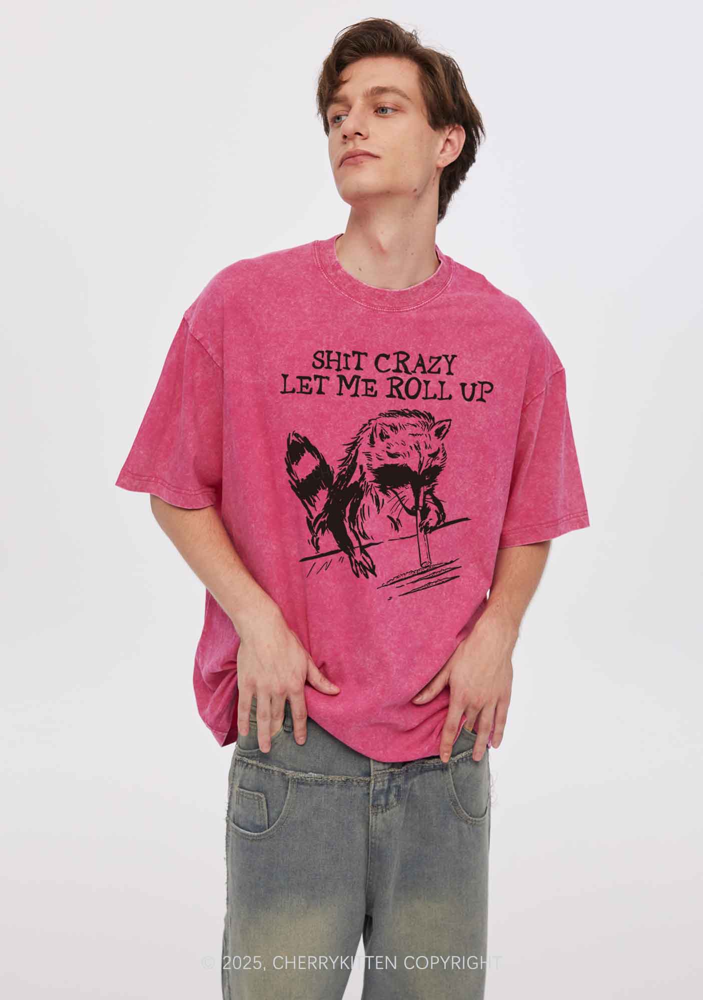 Shxt Crazy Y2K Washed Tee Cherrykitten - Image 3