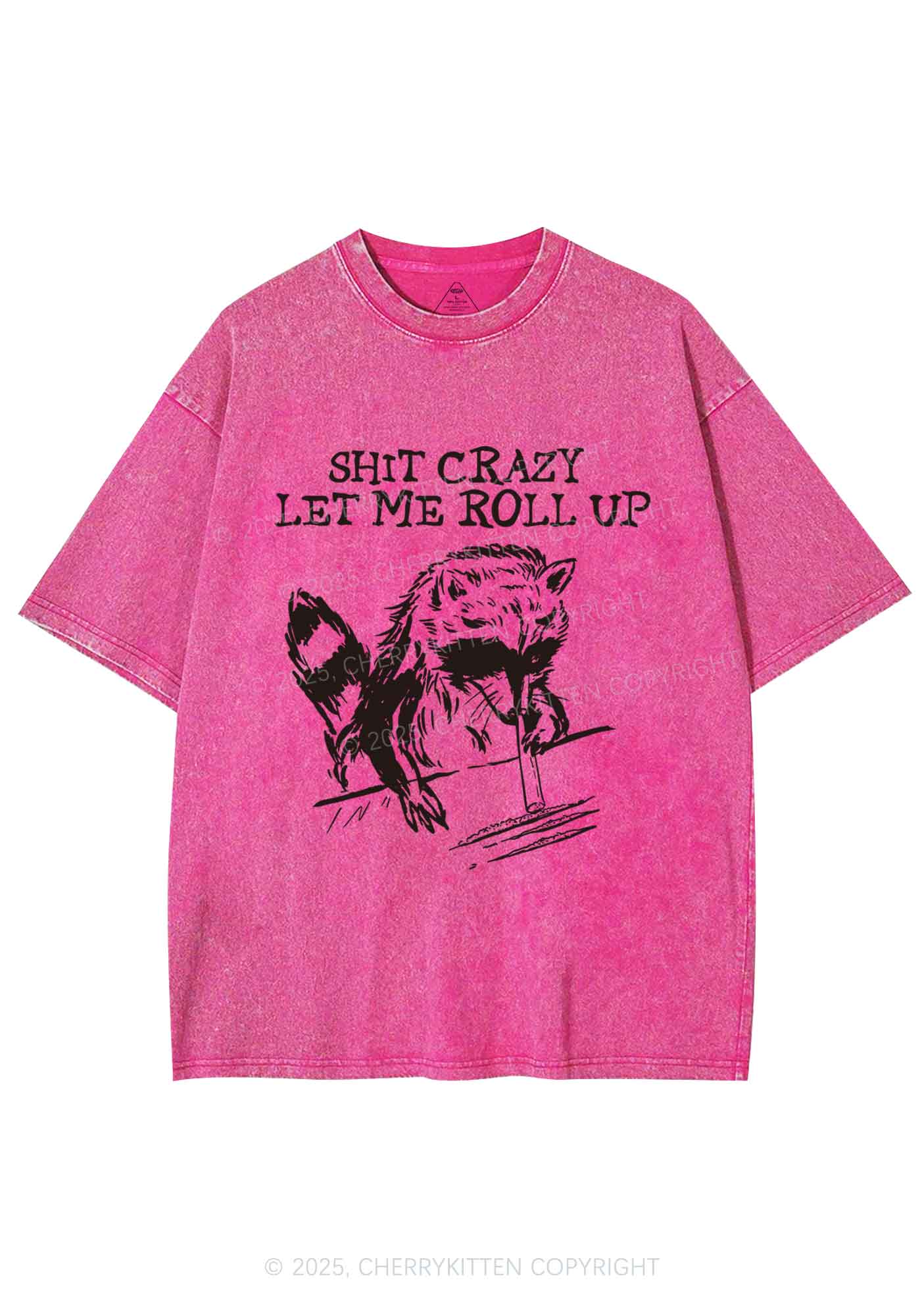 Shxt Crazy Y2K Washed Tee Cherrykitten - Image 4