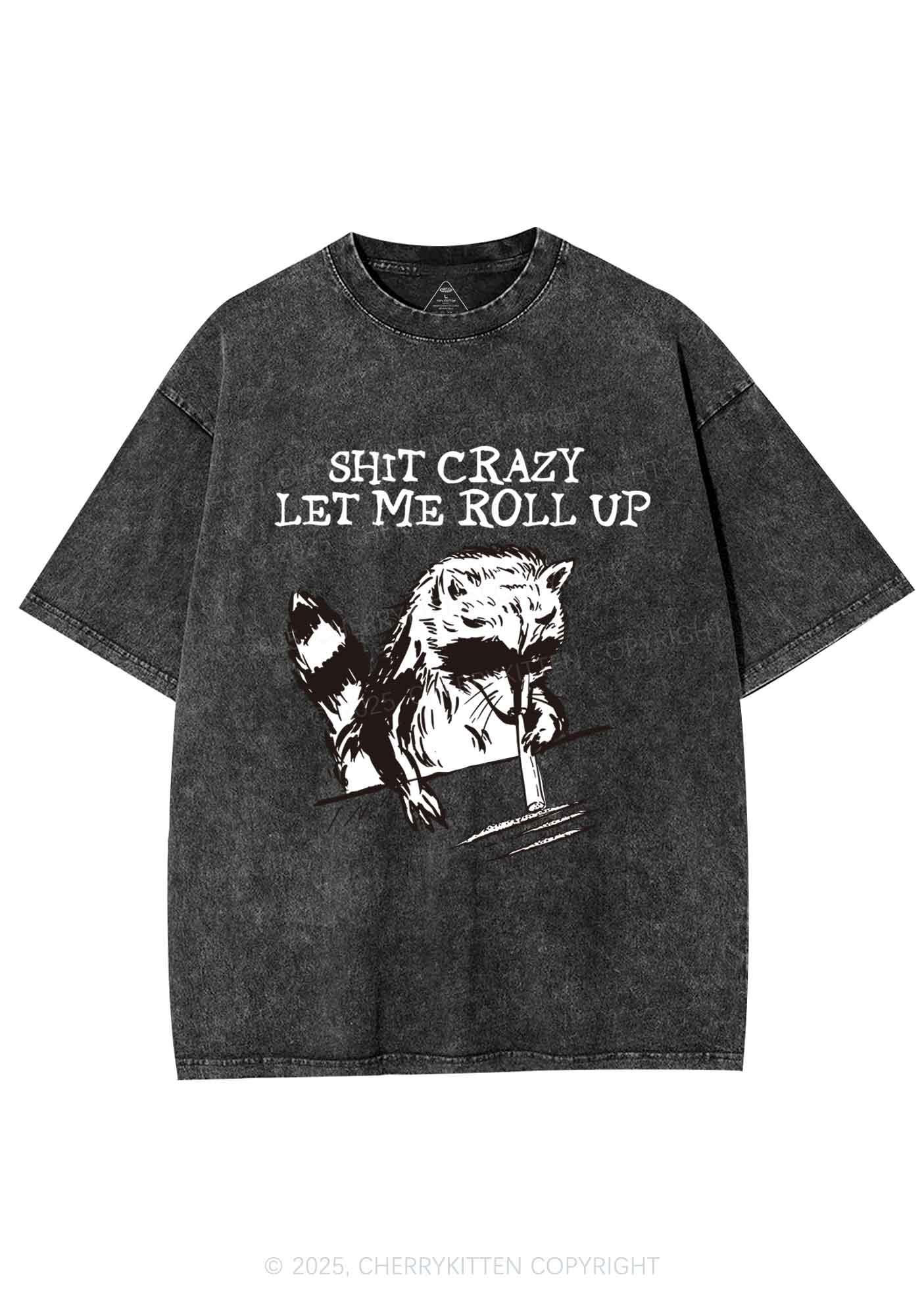 Shxt Crazy Y2K Washed Tee Cherrykitten - Image 5