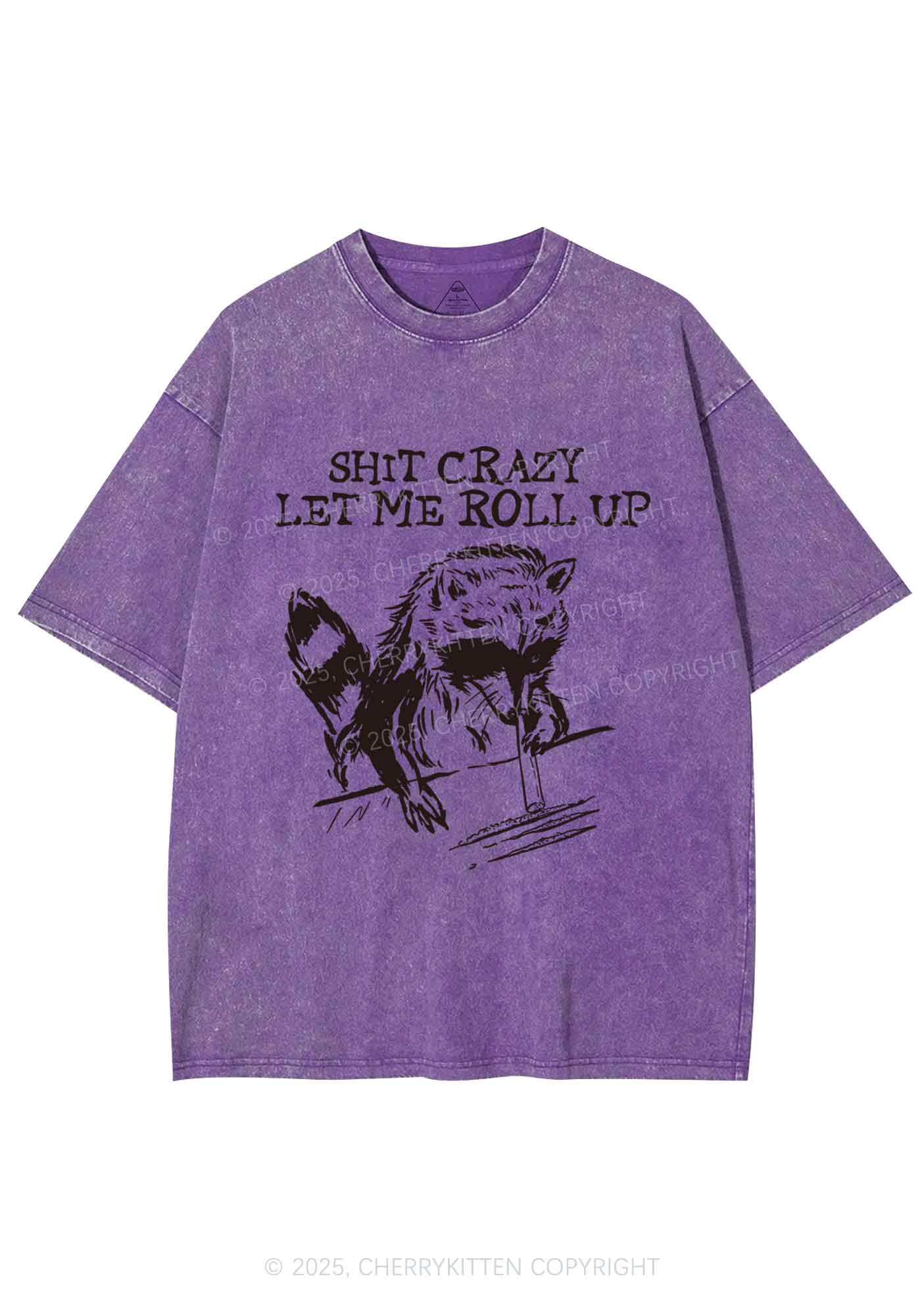 Shxt Crazy Y2K Washed Tee Cherrykitten - Image 6