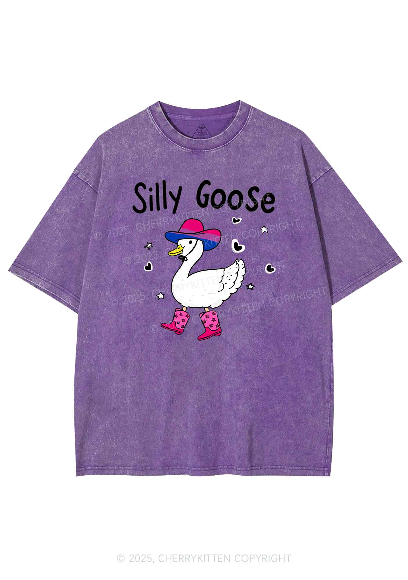 Silly Goose Bisexual Pride Y2K Shirts Washed Tee Cherrykitten - Image 4