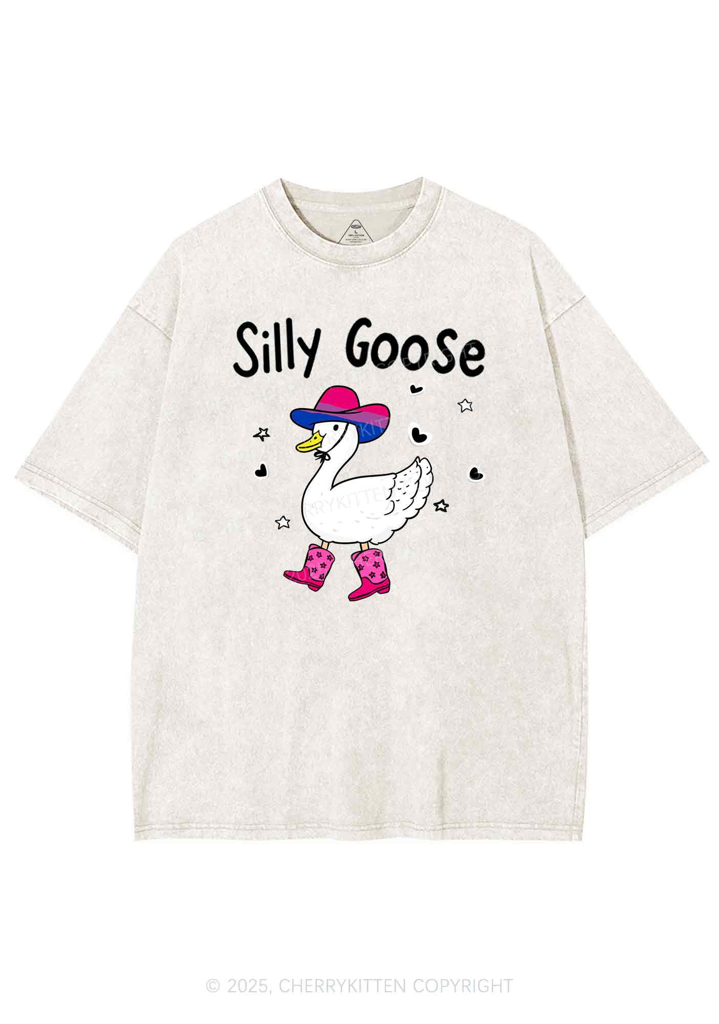 Silly Goose Bisexual Pride Y2K Shirts Washed Tee Cherrykitten - Image 5