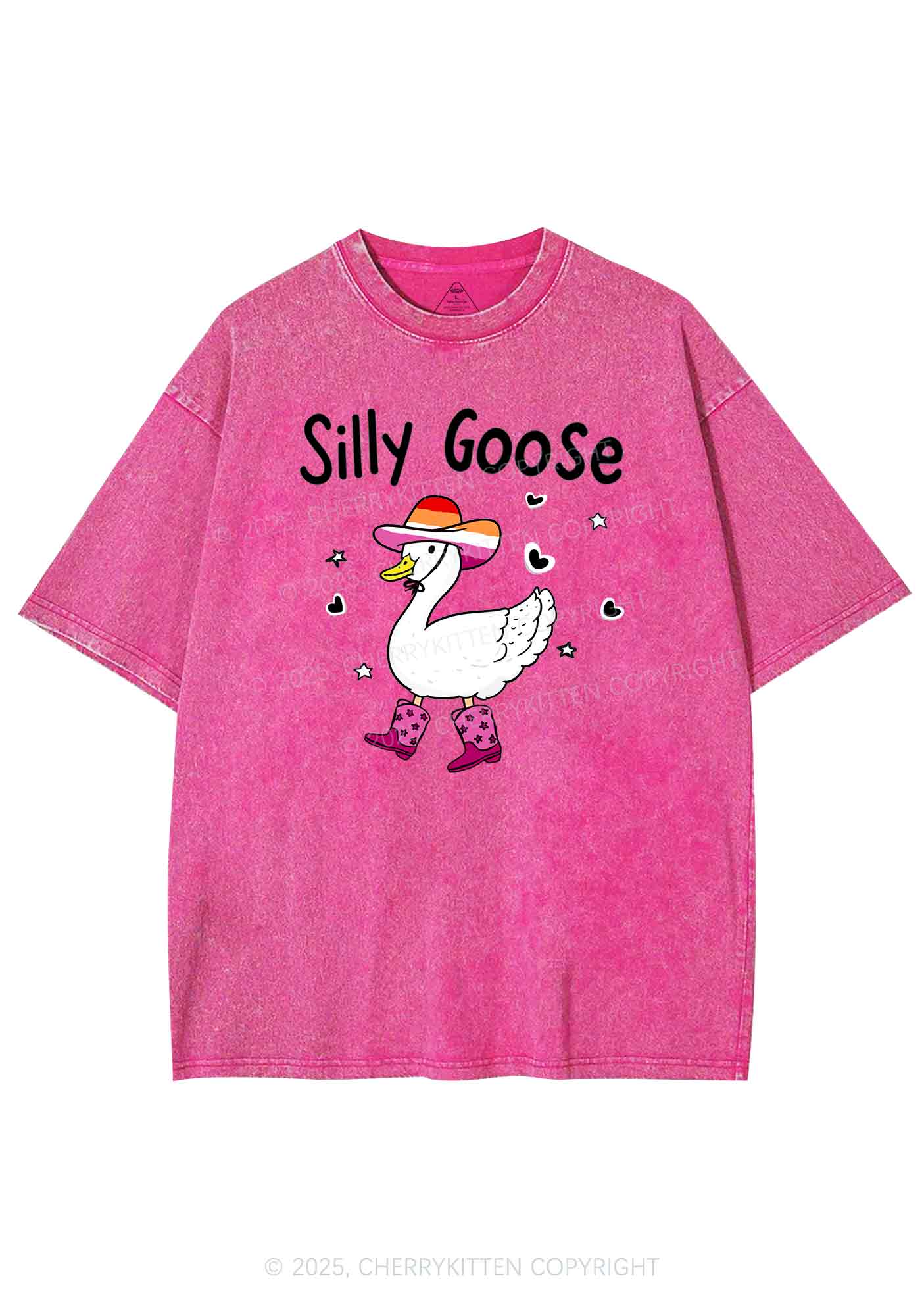 Silly Goose Lesbian Pride Y2K Shirts Washed Tee Cherrykitten - Image 3