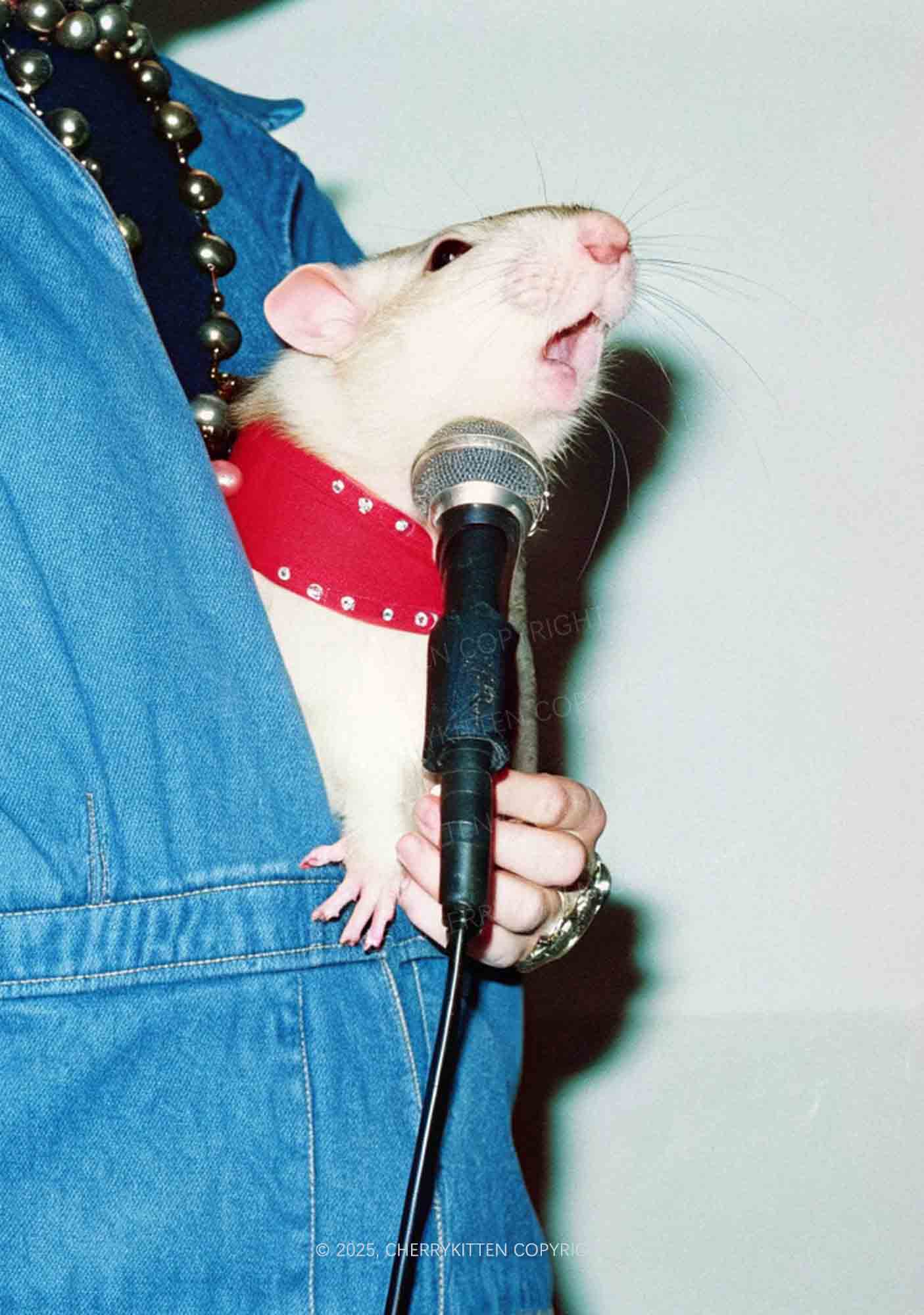Singer Ratz Y2K Mesh Long Sleeve Crop Top Cherrykitten - Image 2
