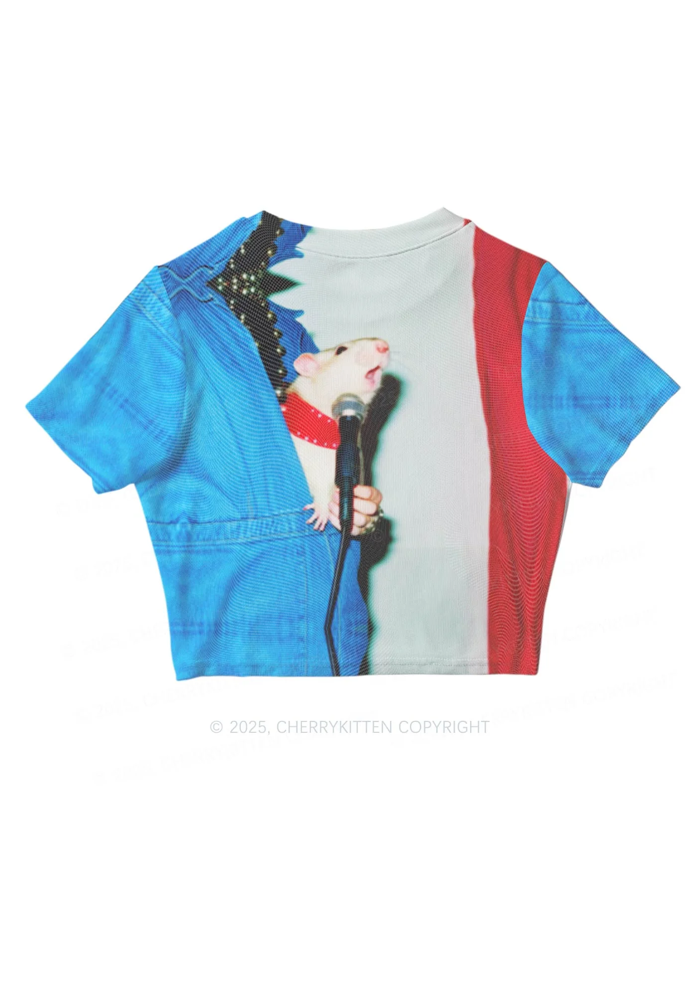 Singer Ratz Y2K Mesh Crop Top Cherrykitten - Image 3