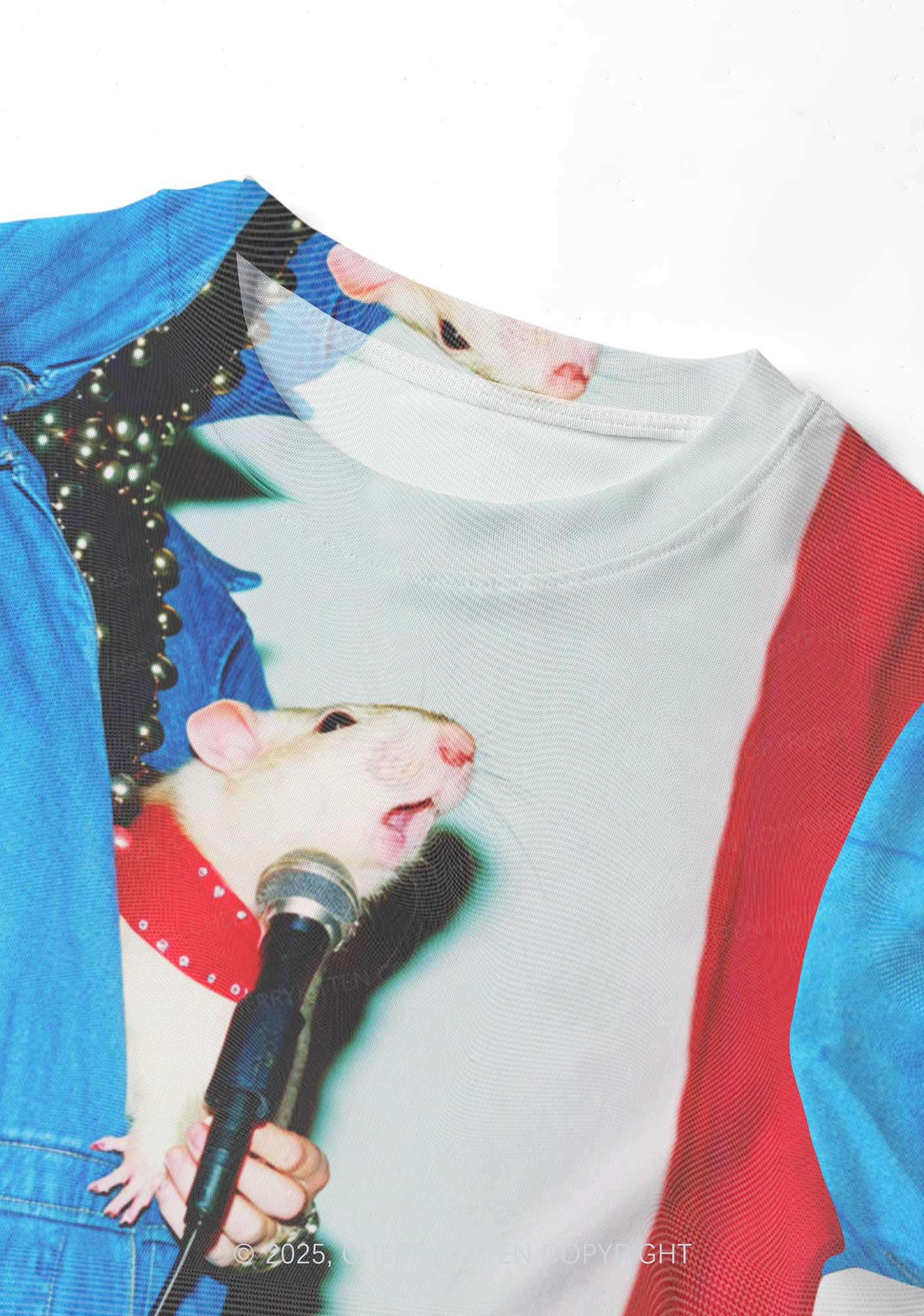 Singer Ratz Y2K Mesh Crop Top Cherrykitten - Image 4