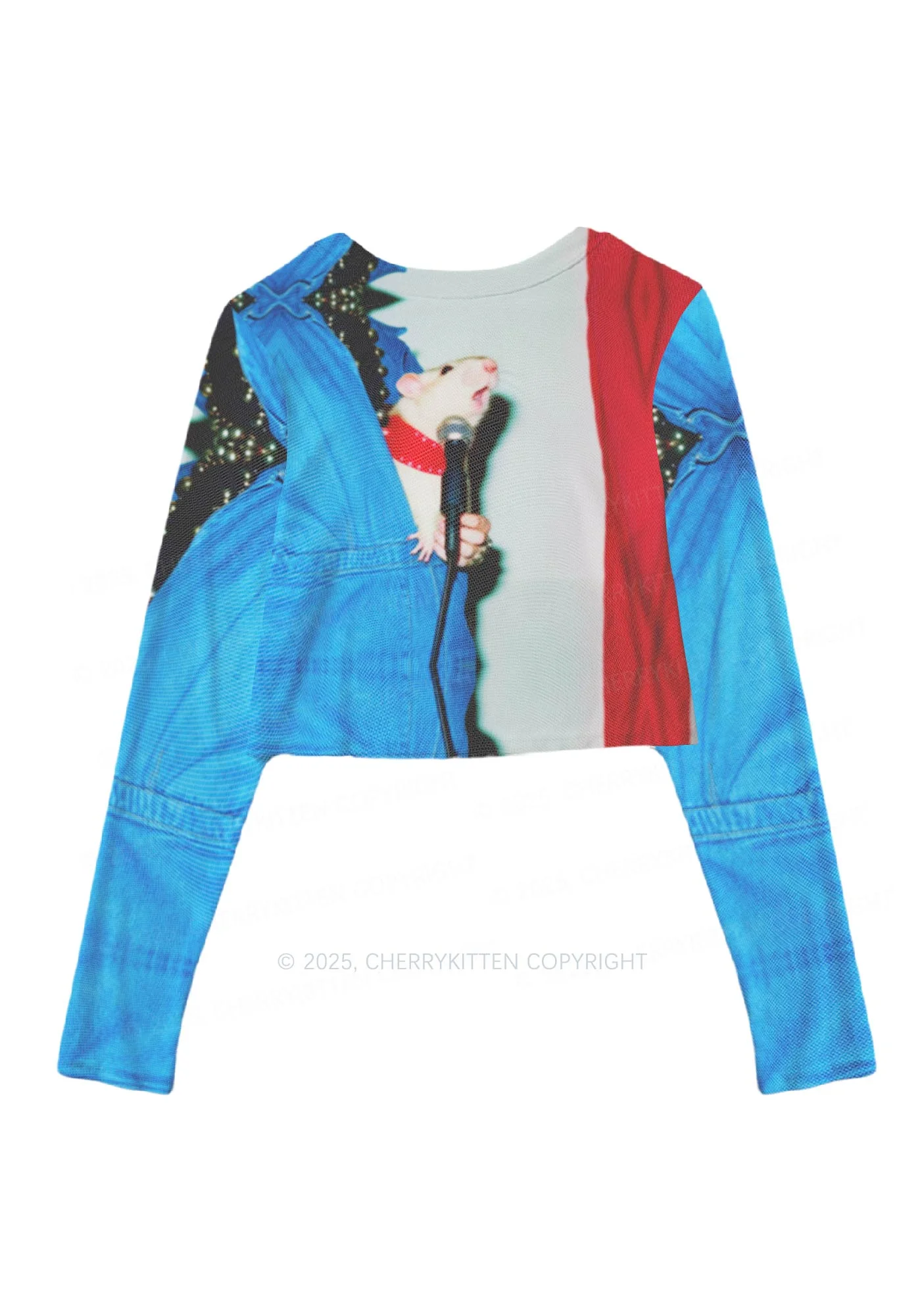 Singer Ratz Y2K Mesh Long Sleeve Crop Top Cherrykitten - Image 3