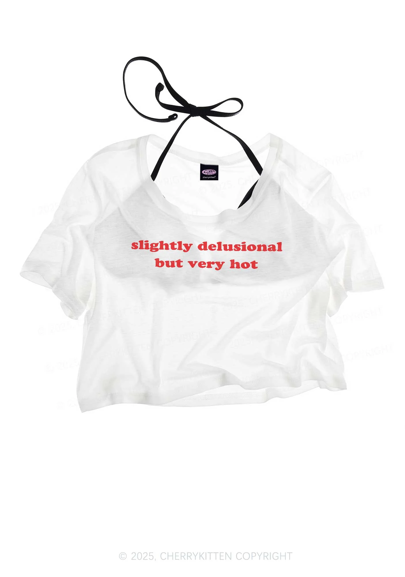 Slightly Delusional But Very Hot Y2K Sheer Crop Tee Cherrykitten - Image 3
