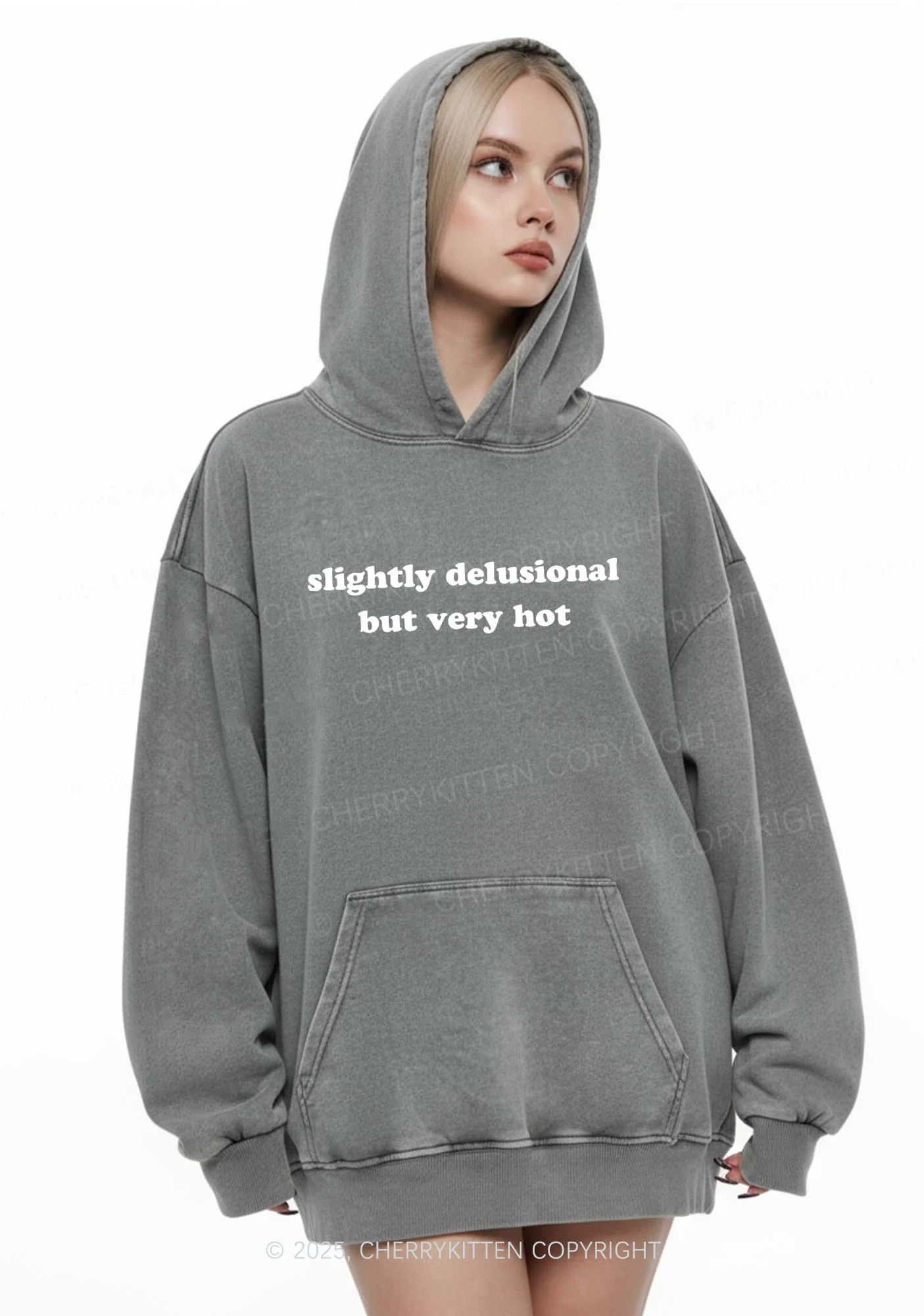Slightly Delusional But Very Hot Y2K Washed Hoodie Cherrykitten - Image 2