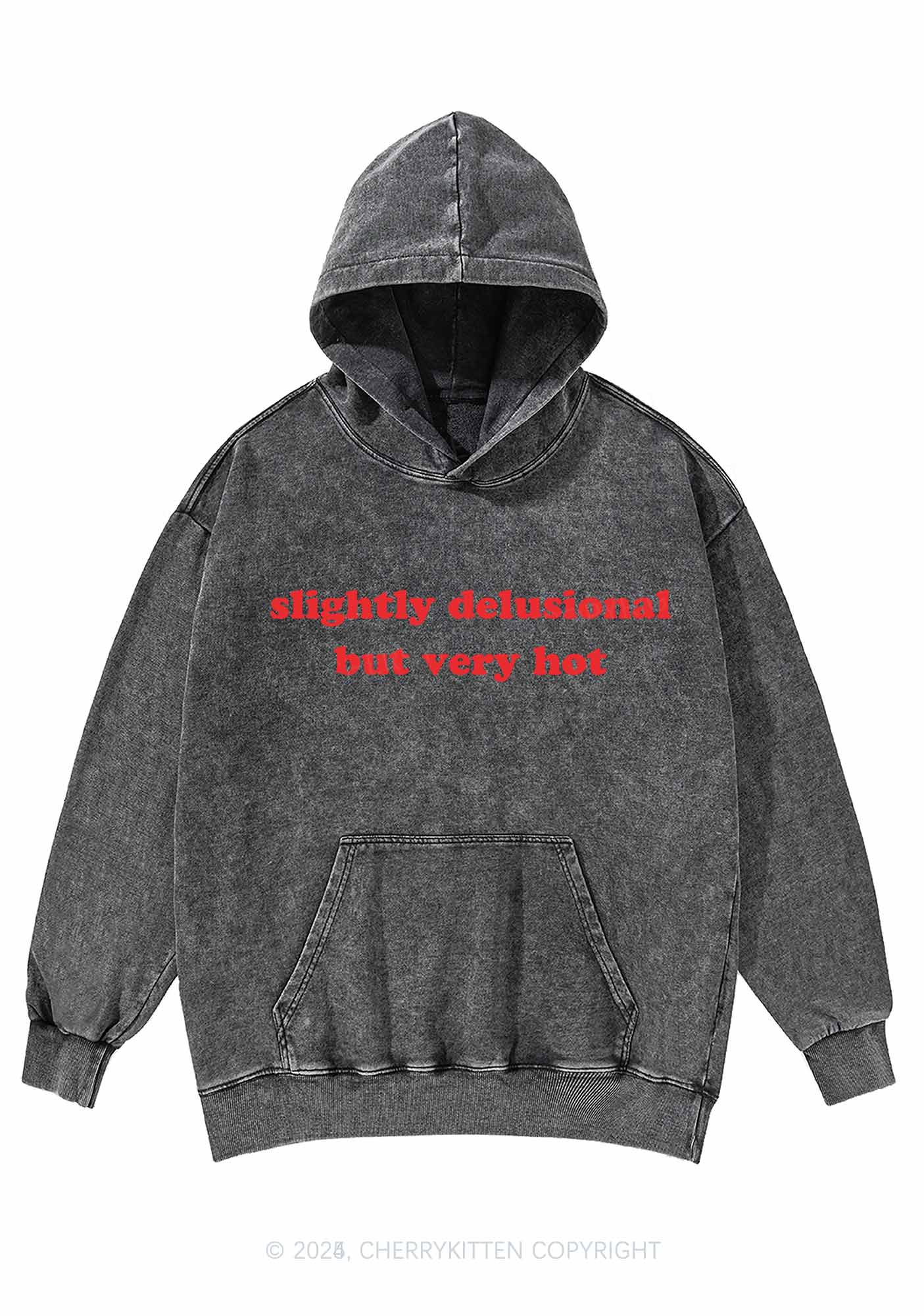Slightly Delusional But Very Hot Y2K Washed Hoodie Cherrykitten - Image 3
