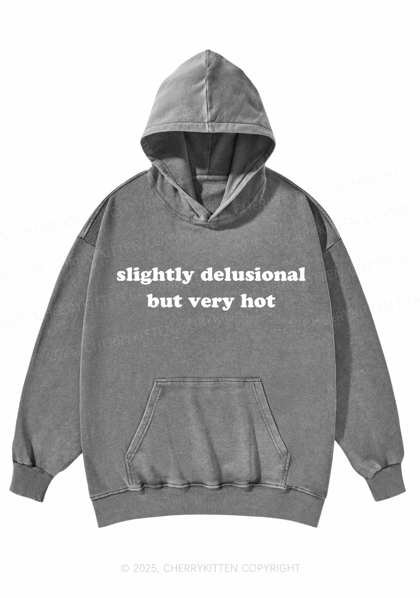 Slightly Delusional But Very Hot Y2K Washed Hoodie Cherrykitten - Image 4