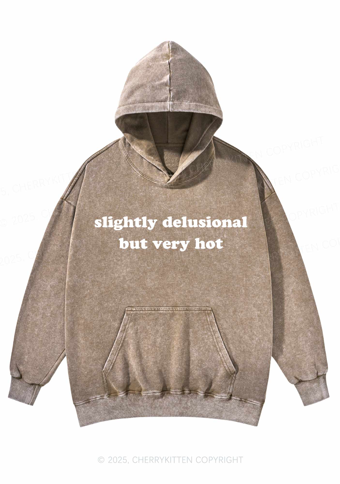 Slightly Delusional But Very Hot Y2K Washed Hoodie Cherrykitten - Image 5