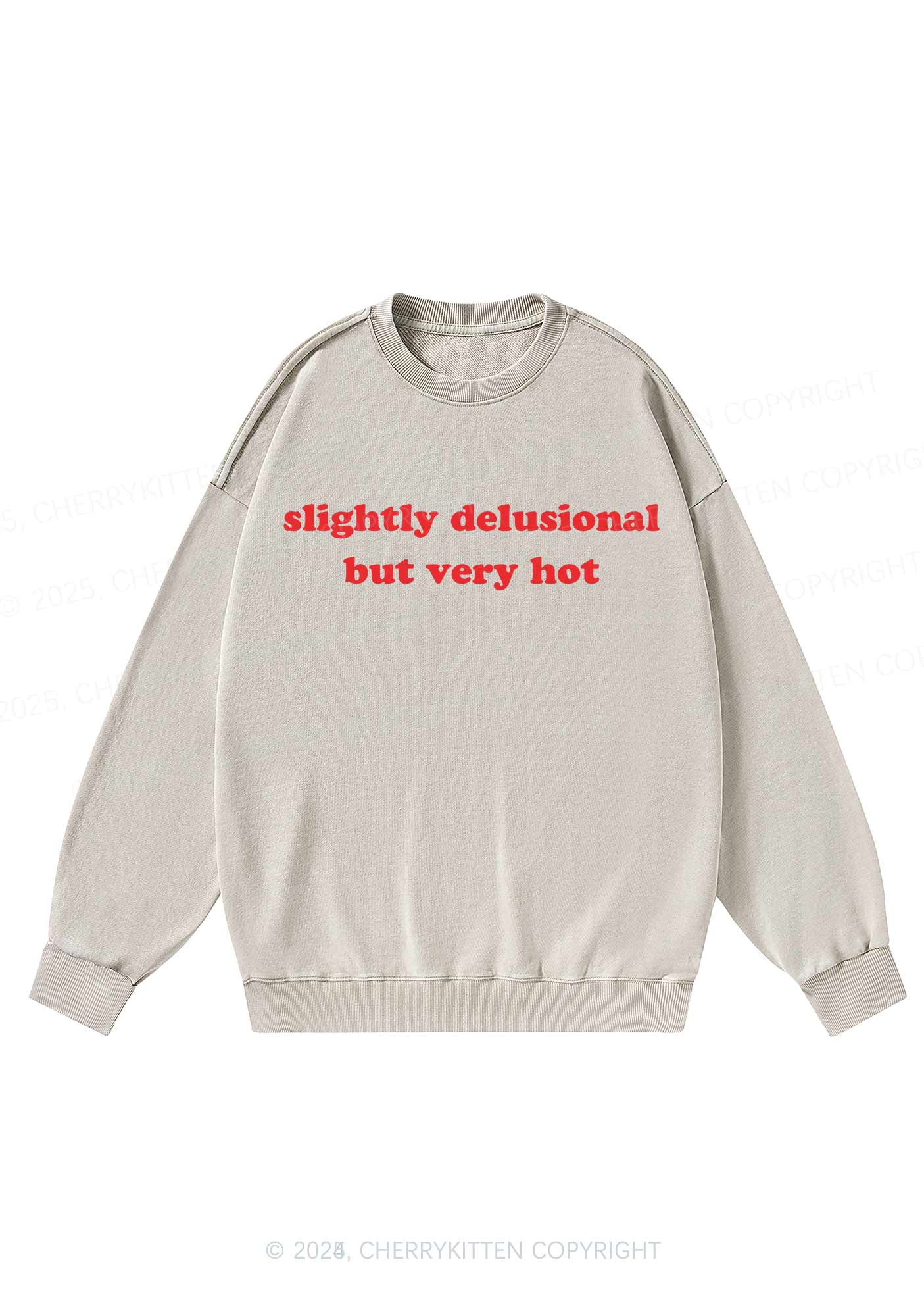 Slightly Delusional But Very Hot Y2K Washed Sweatshirts Cherrykitten - Image 3