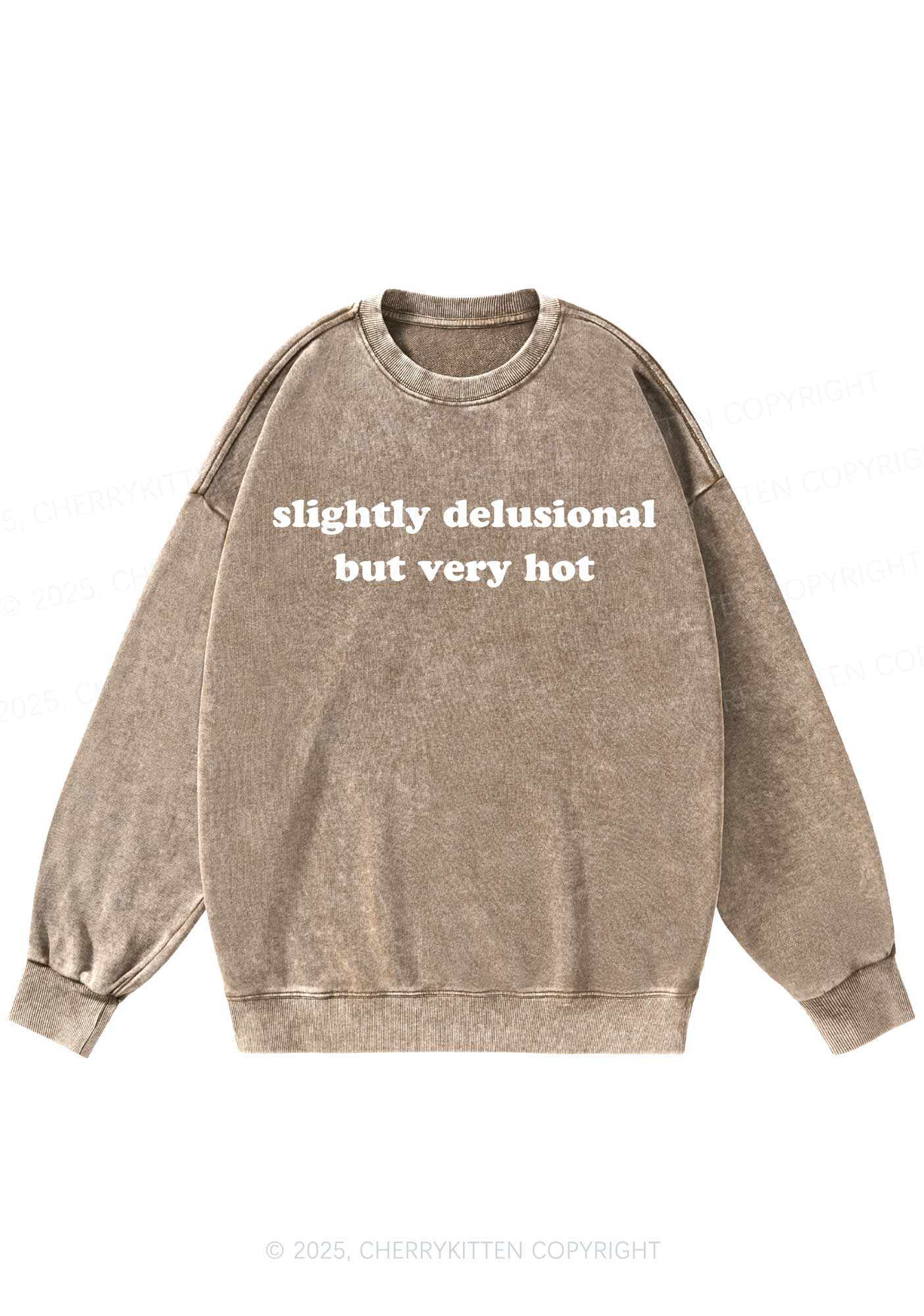 Slightly Delusional But Very Hot Y2K Washed Sweatshirts Cherrykitten - Image 5