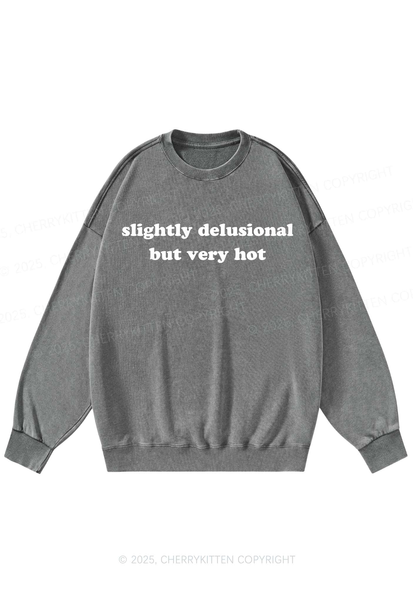 Slightly Delusional But Very Hot Y2K Washed Sweatshirts Cherrykitten - Image 6