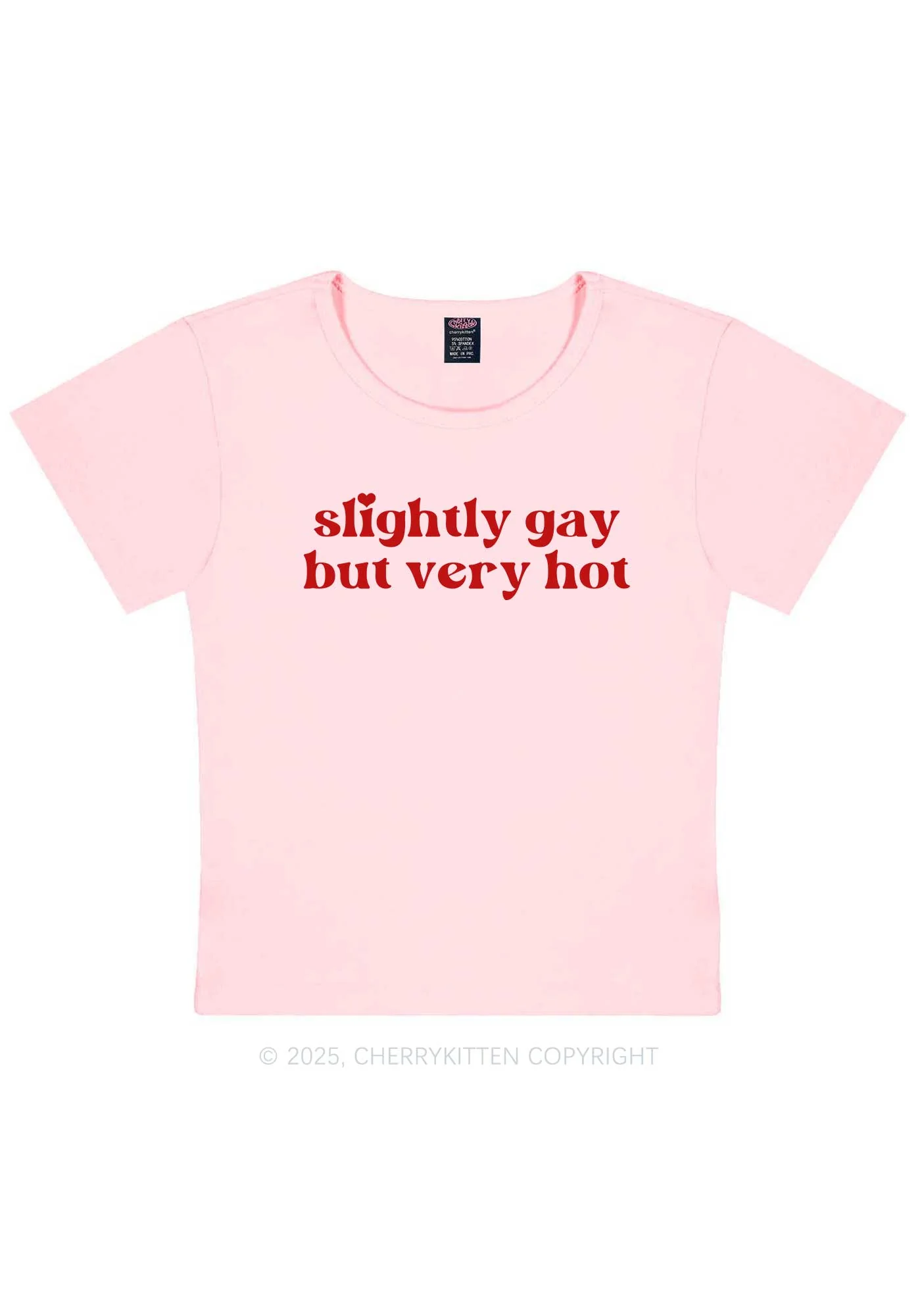 Slightly Gay But Very Hot Pride Y2K Baby Tee Cherrykitten - Image 12