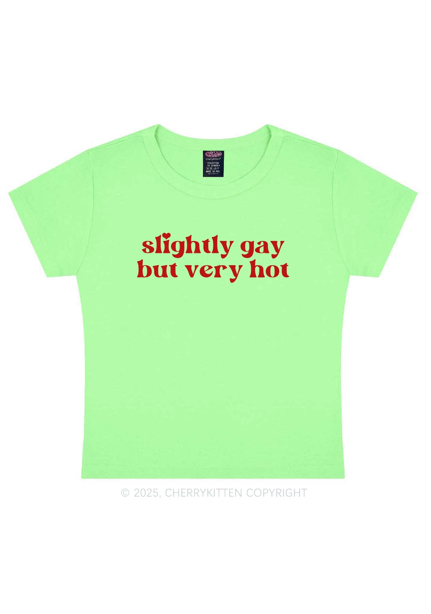 Slightly Gay But Very Hot Pride Y2K Baby Tee Cherrykitten - Image 13