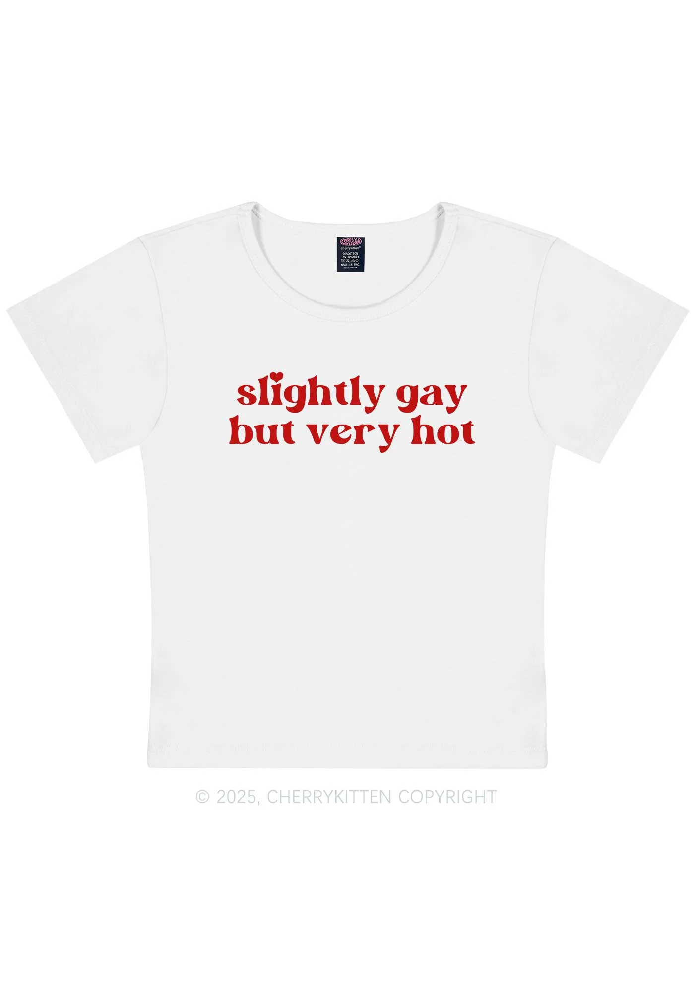 Slightly Gay But Very Hot Pride Y2K Baby Tee Cherrykitten - Image 5