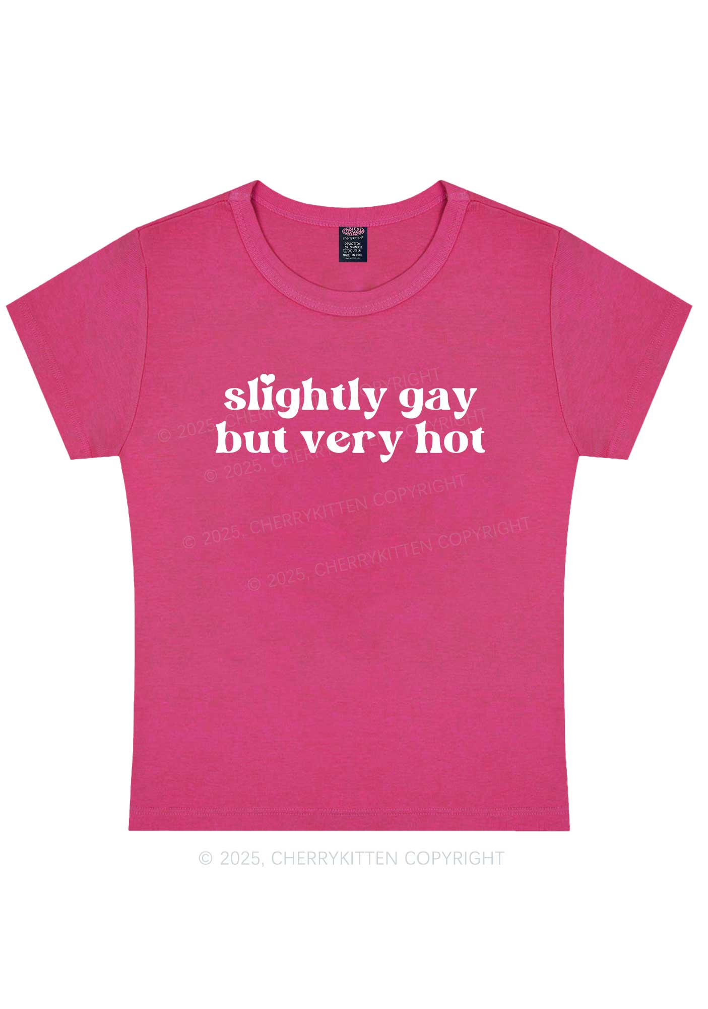 Slightly Gay But Very Hot Pride Y2K Baby Tee Cherrykitten - Image 7