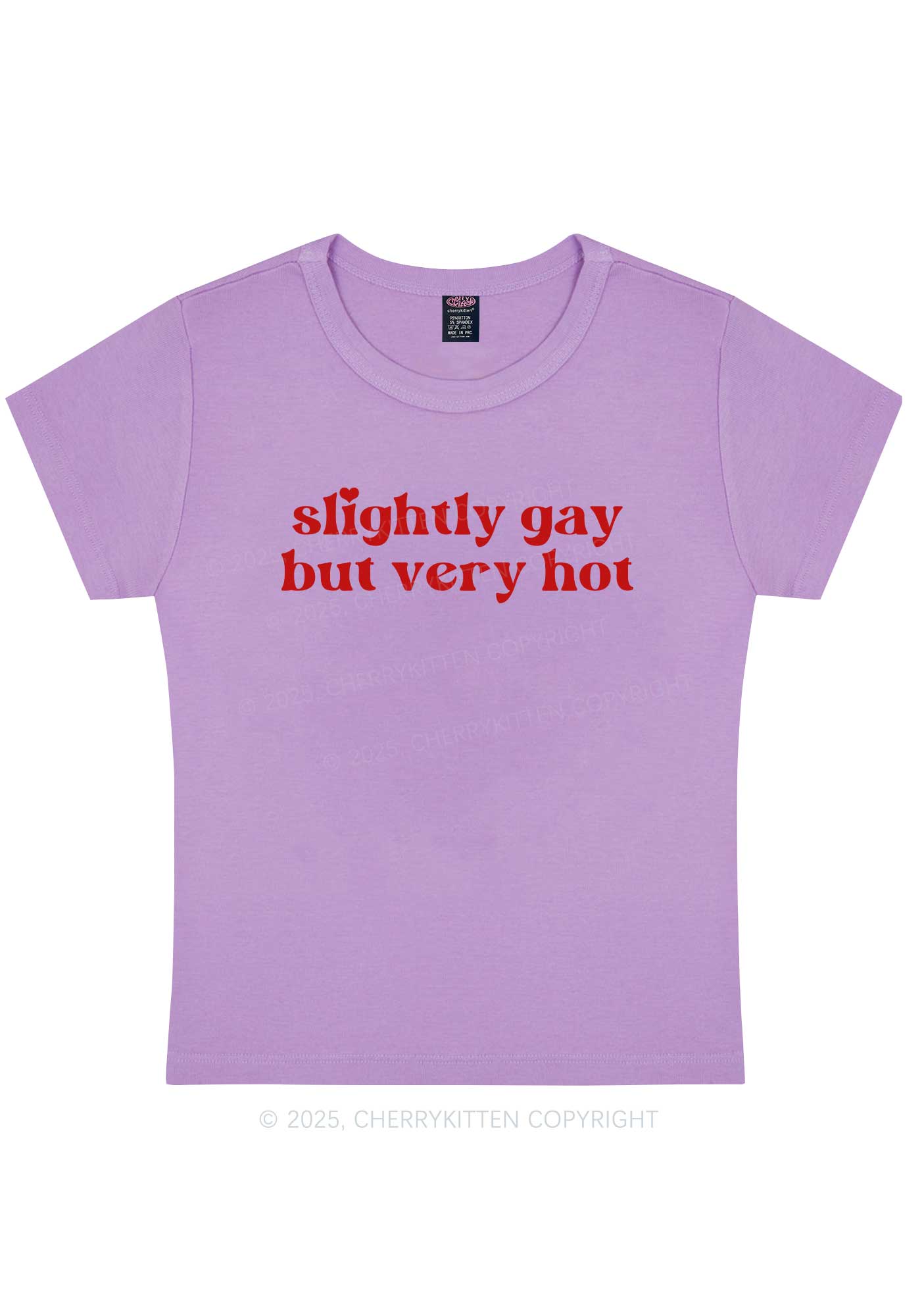 Slightly Gay But Very Hot Pride Y2K Baby Tee Cherrykitten - Image 8