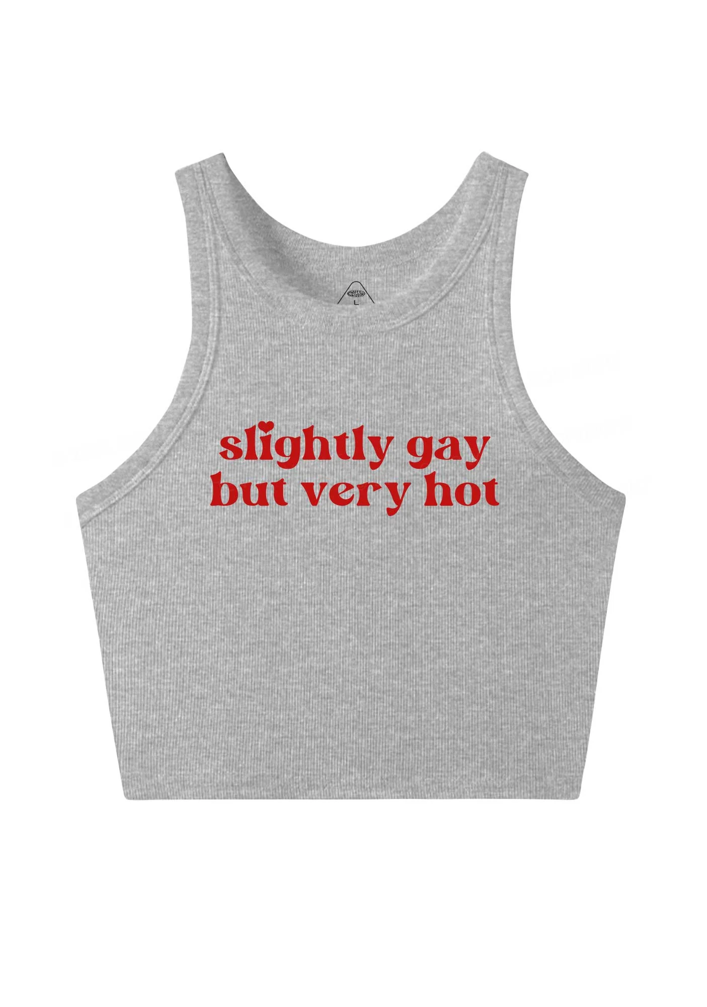 Slightly Gay But Very Hot Pride Y2K Crop Tank Top Cherrykitten - Image 4