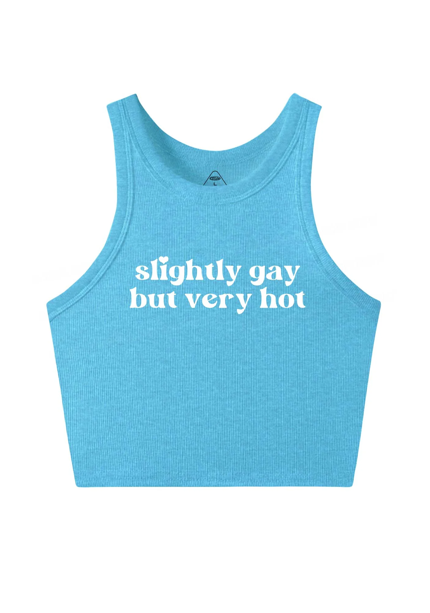 Slightly Gay But Very Hot Pride Y2K Crop Tank Top Cherrykitten - Image 5