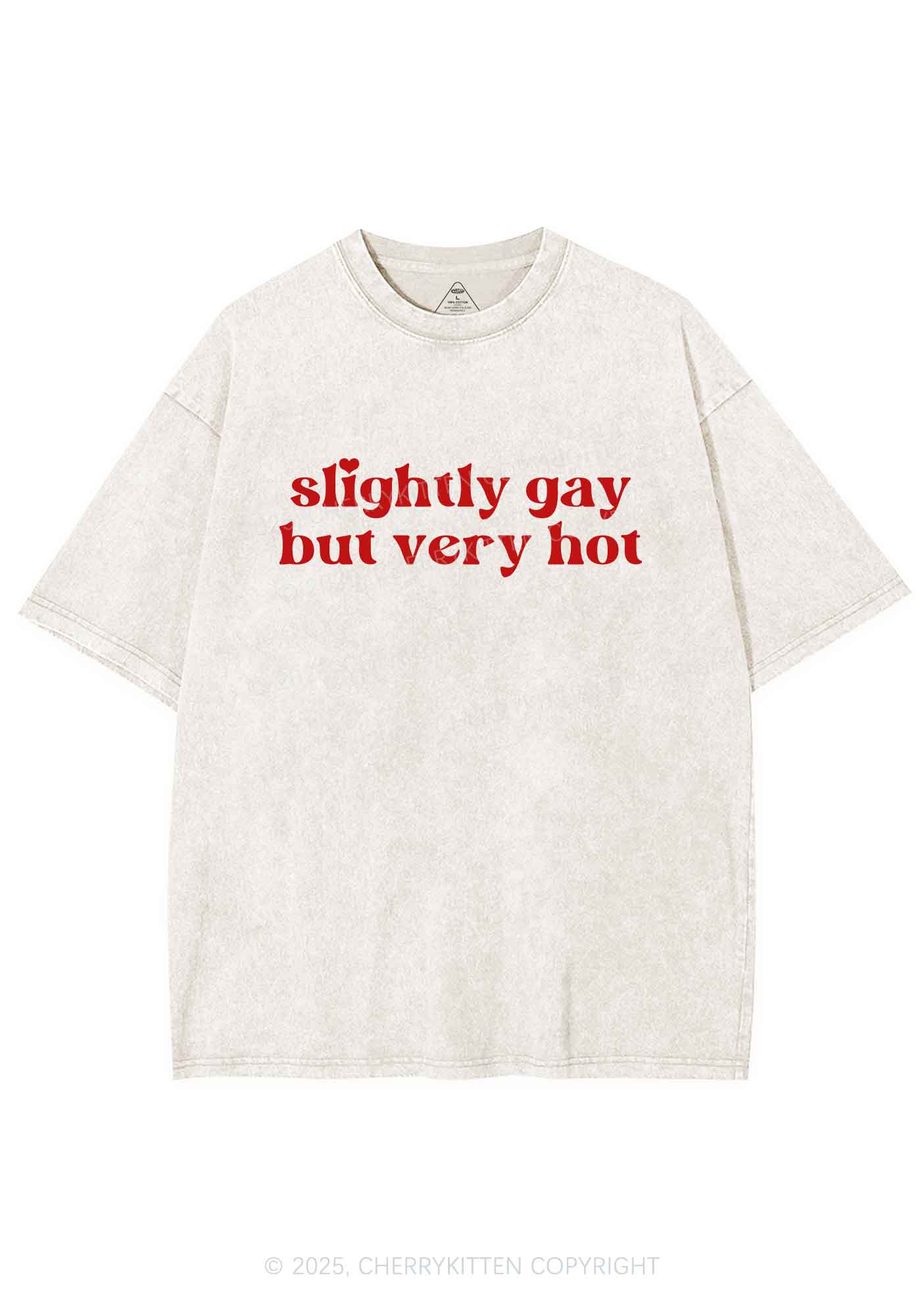 Slightly Gay But Very Hot Pride Y2K Shirts Washed Tee Cherrykitten - Image 4