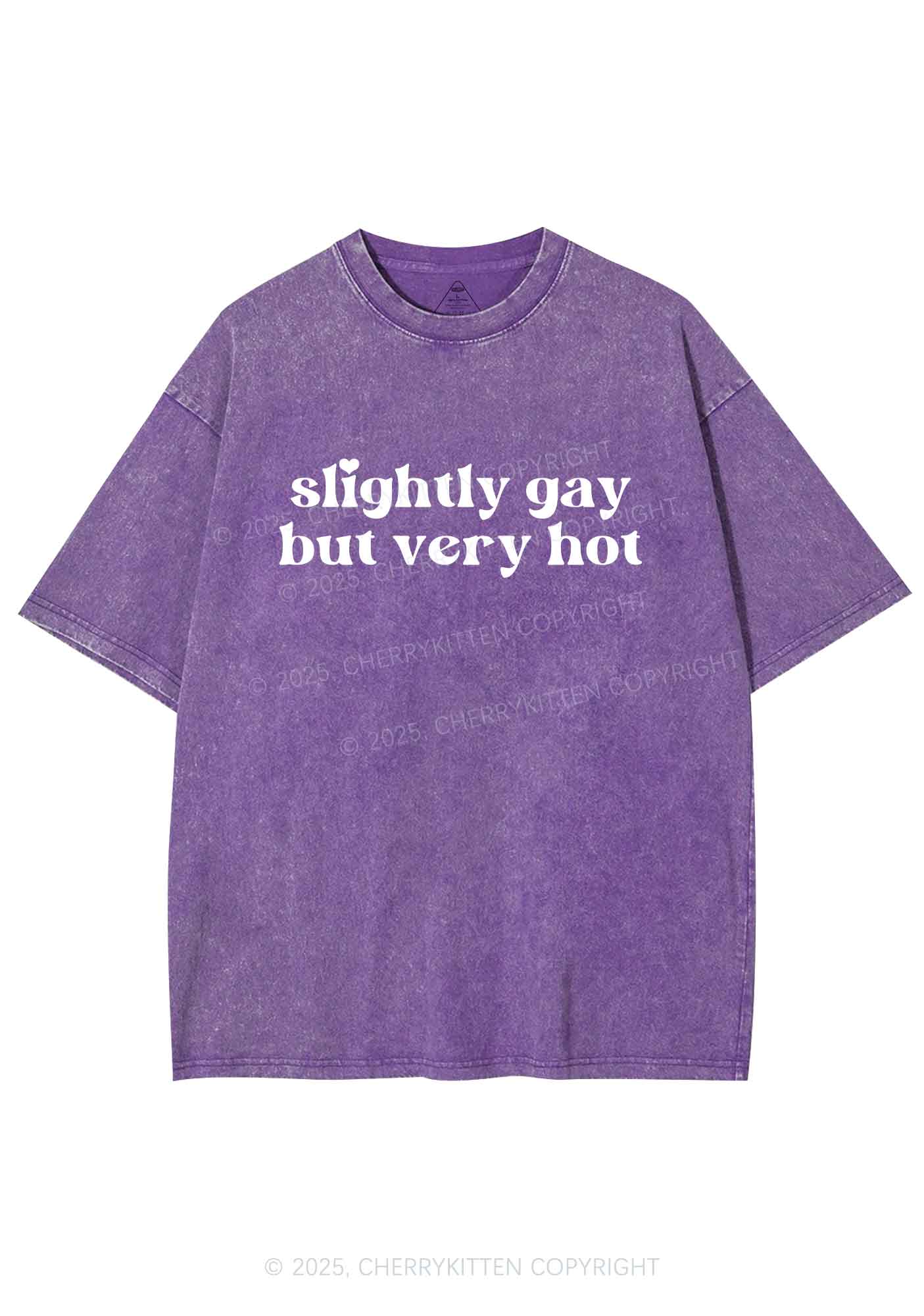 Slightly Gay But Very Hot Pride Y2K Shirts Washed Tee Cherrykitten - Image 5