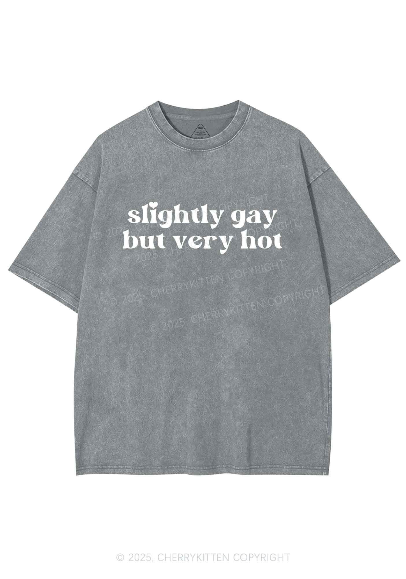 Slightly Gay But Very Hot Pride Y2K Shirts Washed Tee Cherrykitten - Image 6