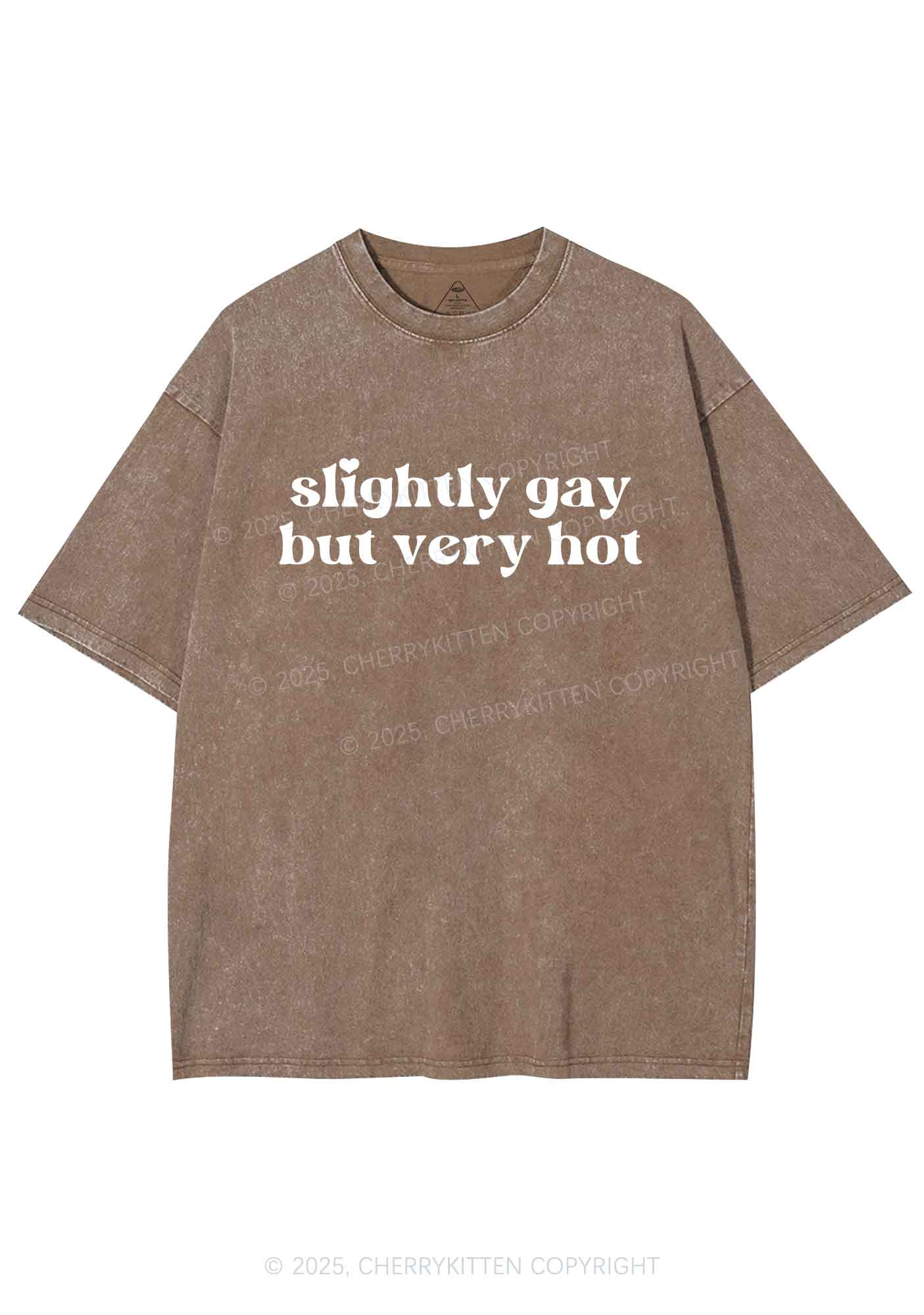 Slightly Gay But Very Hot Pride Y2K Shirts Washed Tee Cherrykitten - Image 7