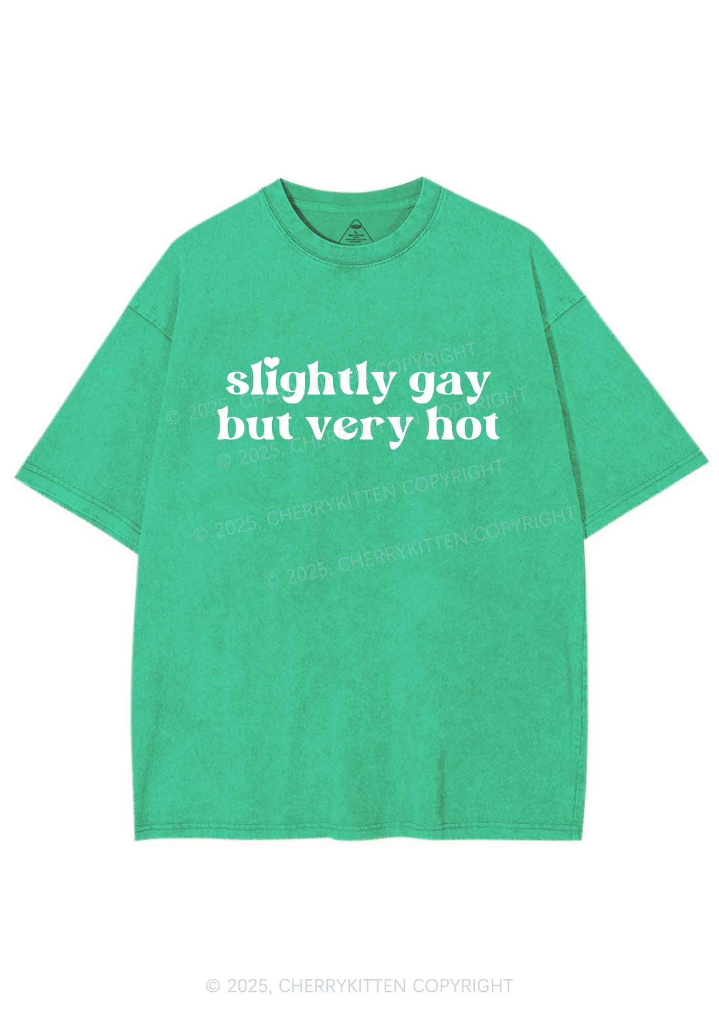 Slightly Gay But Very Hot Pride Y2K Shirts Washed Tee Cherrykitten - Image 8
